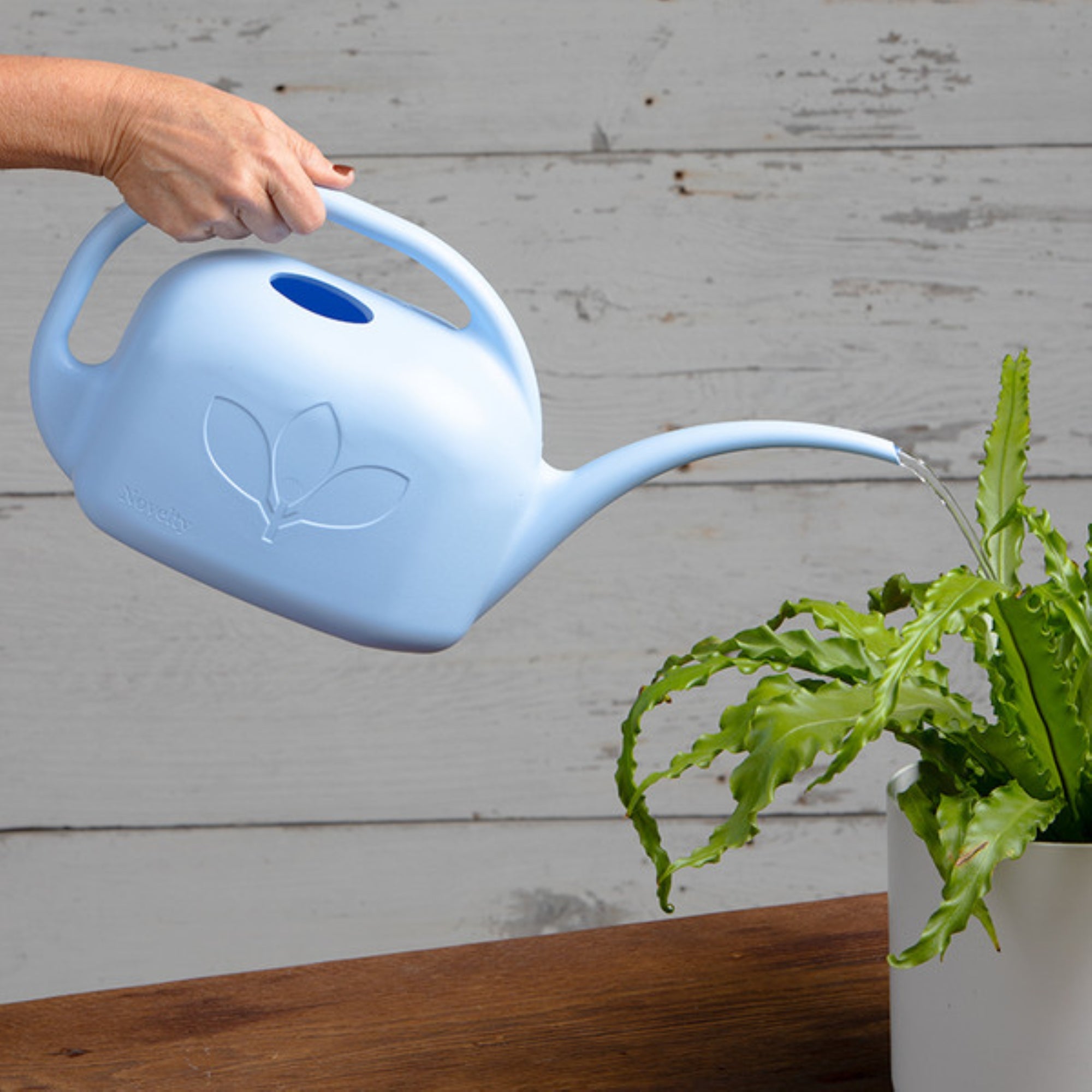 Root & Vessel Indoor Watering Can with Long Spout, Flower Pattern