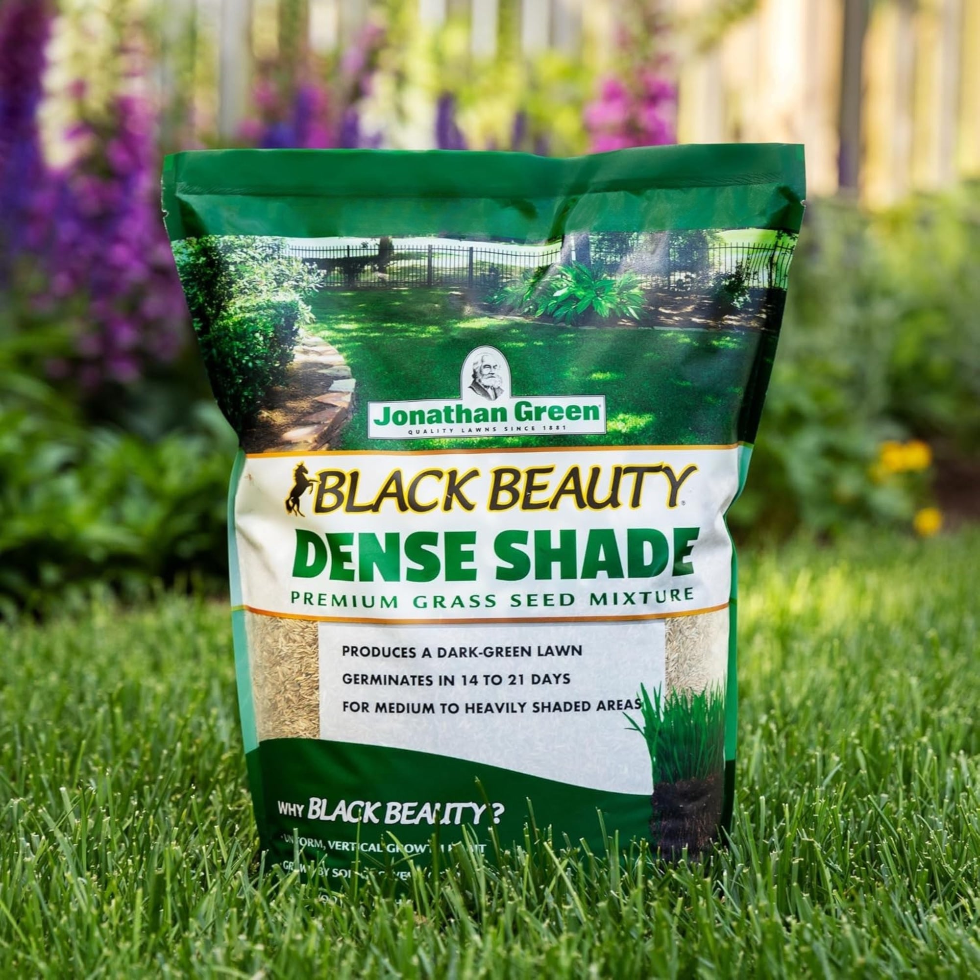 Jonathan Green Black Beauty Dense Shade Grass Seed Mix