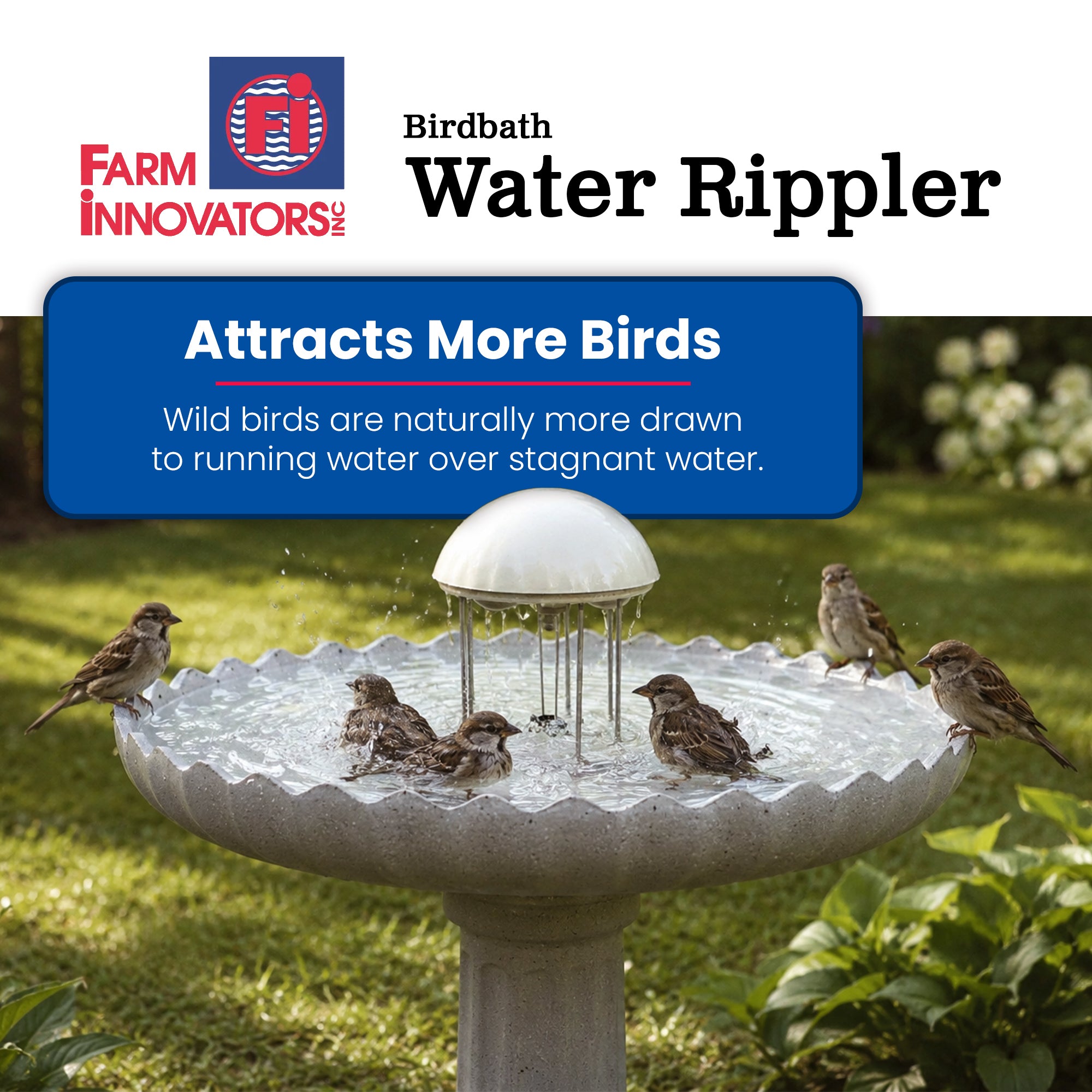 Farm Innovators Birdbath Water Rippler Agitator