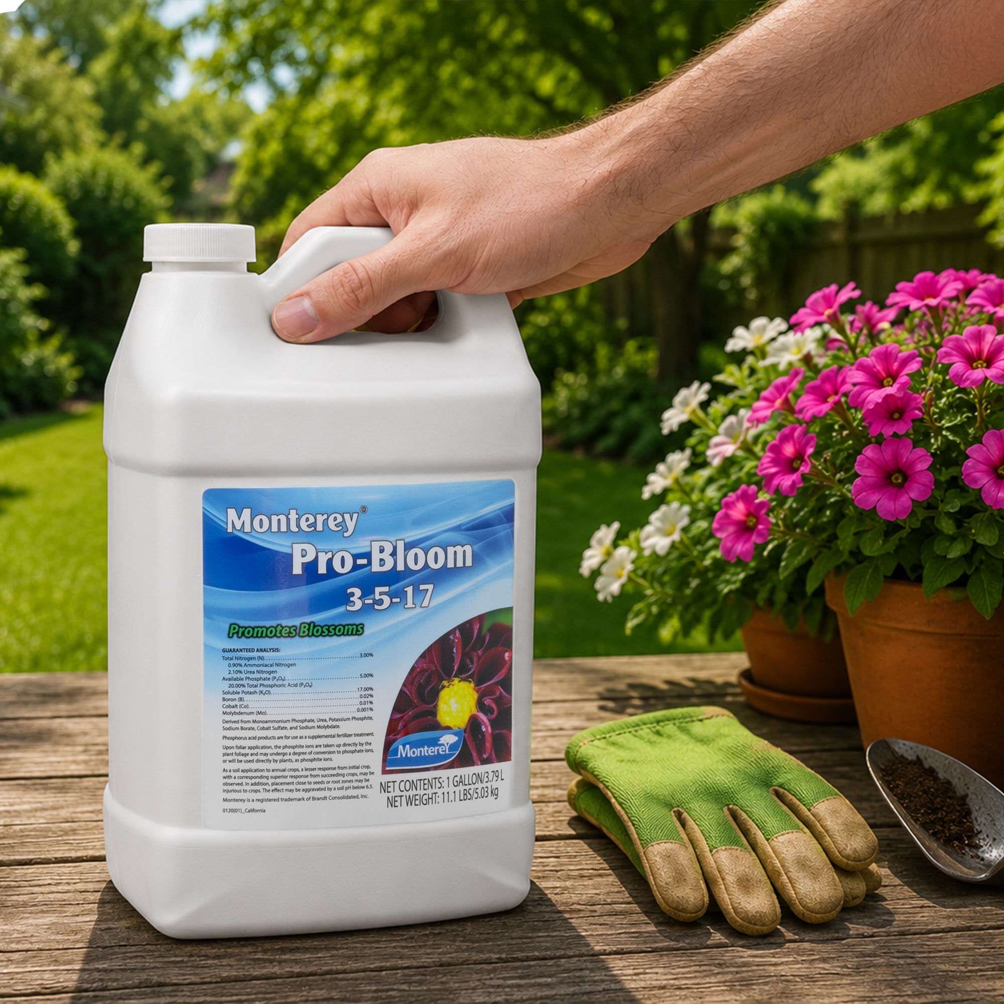 Monterey Pro-Bloom 3-5-17 Flower Fertilizer Concentrate (California Only), 1gal