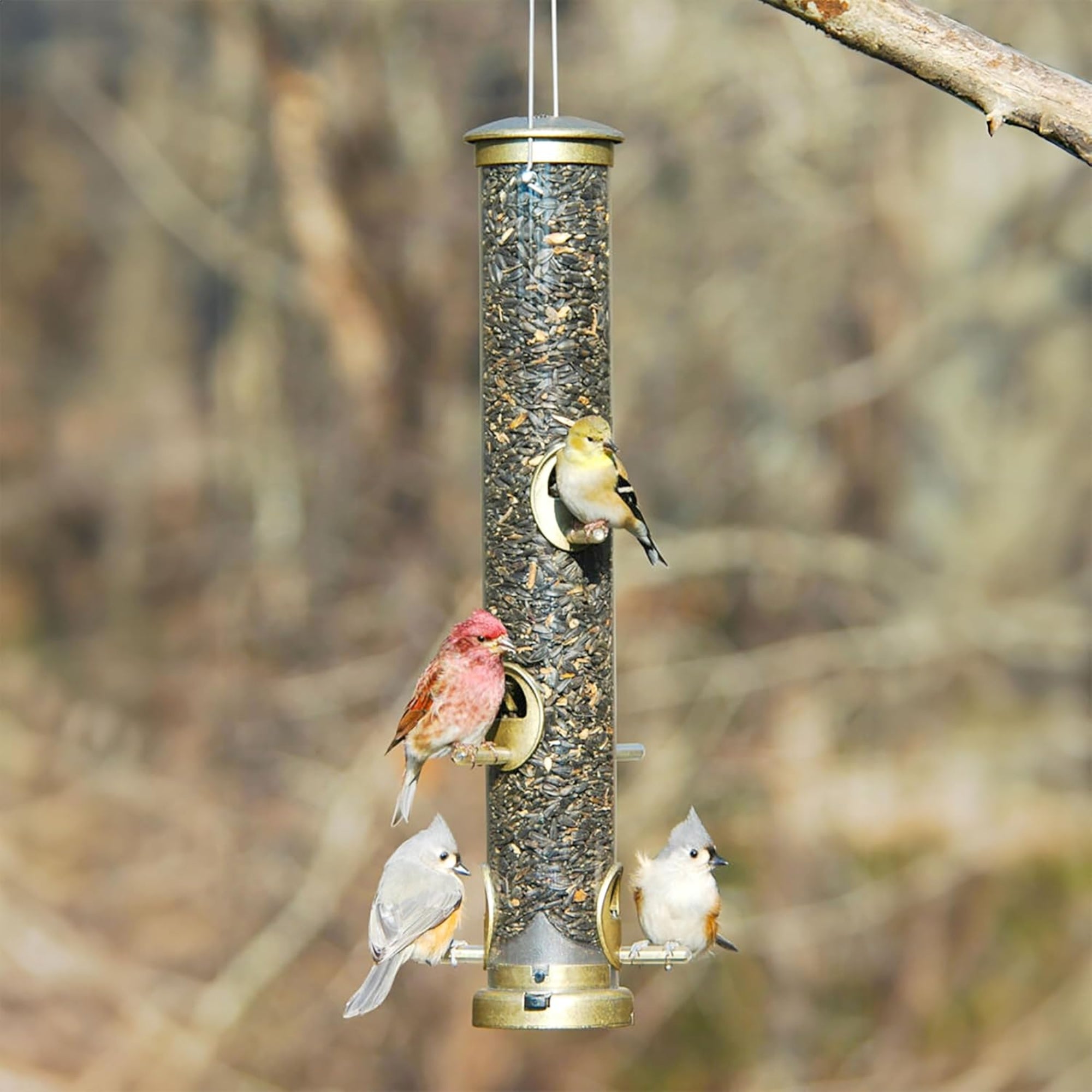 Aspects Quick-Clean Seed Tube Bird Feeder, Large, Brass, 1.75qt Capacity