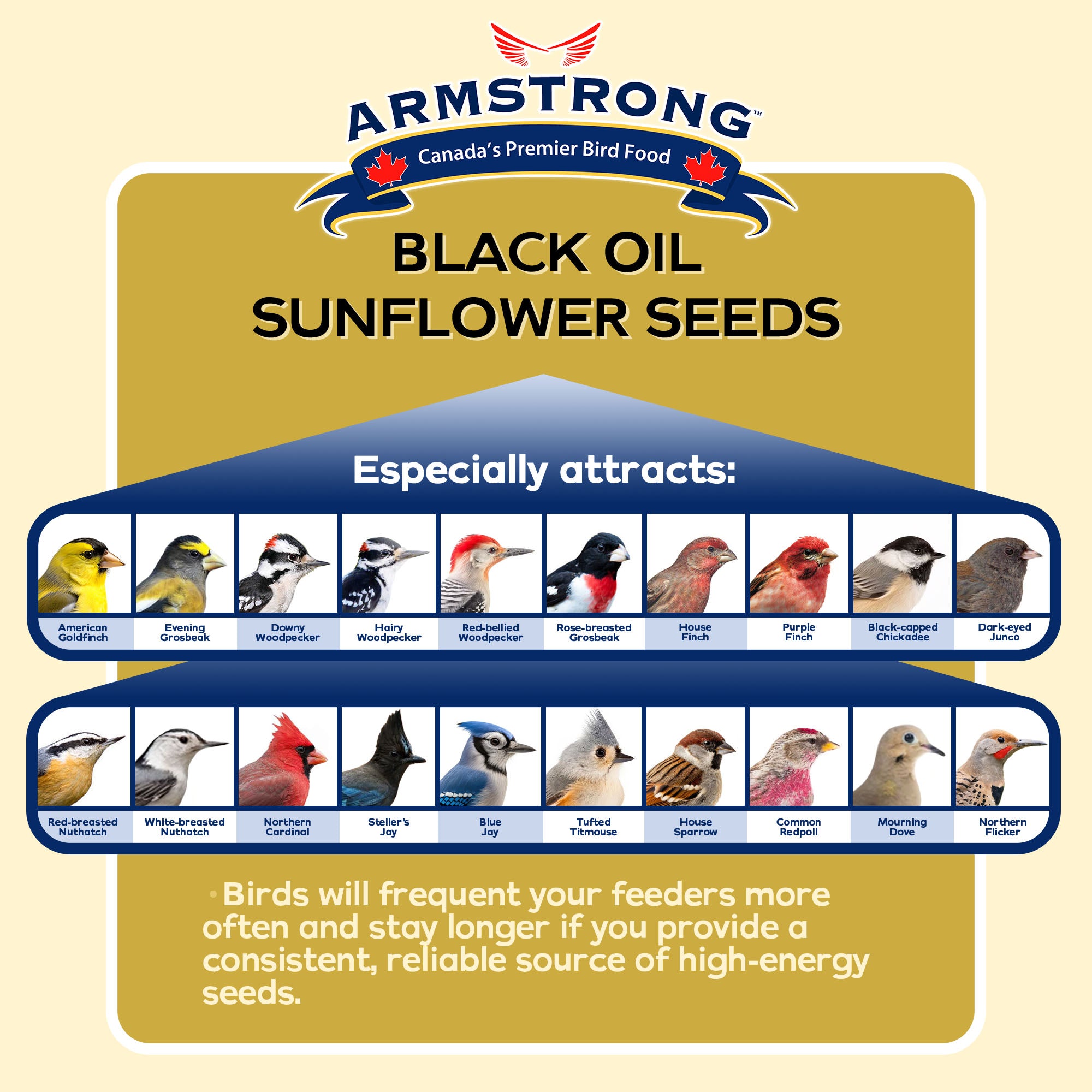 Armstrong Wild Bird Food Black Oil Sunflower Bird Seed, 13.23lb Pail