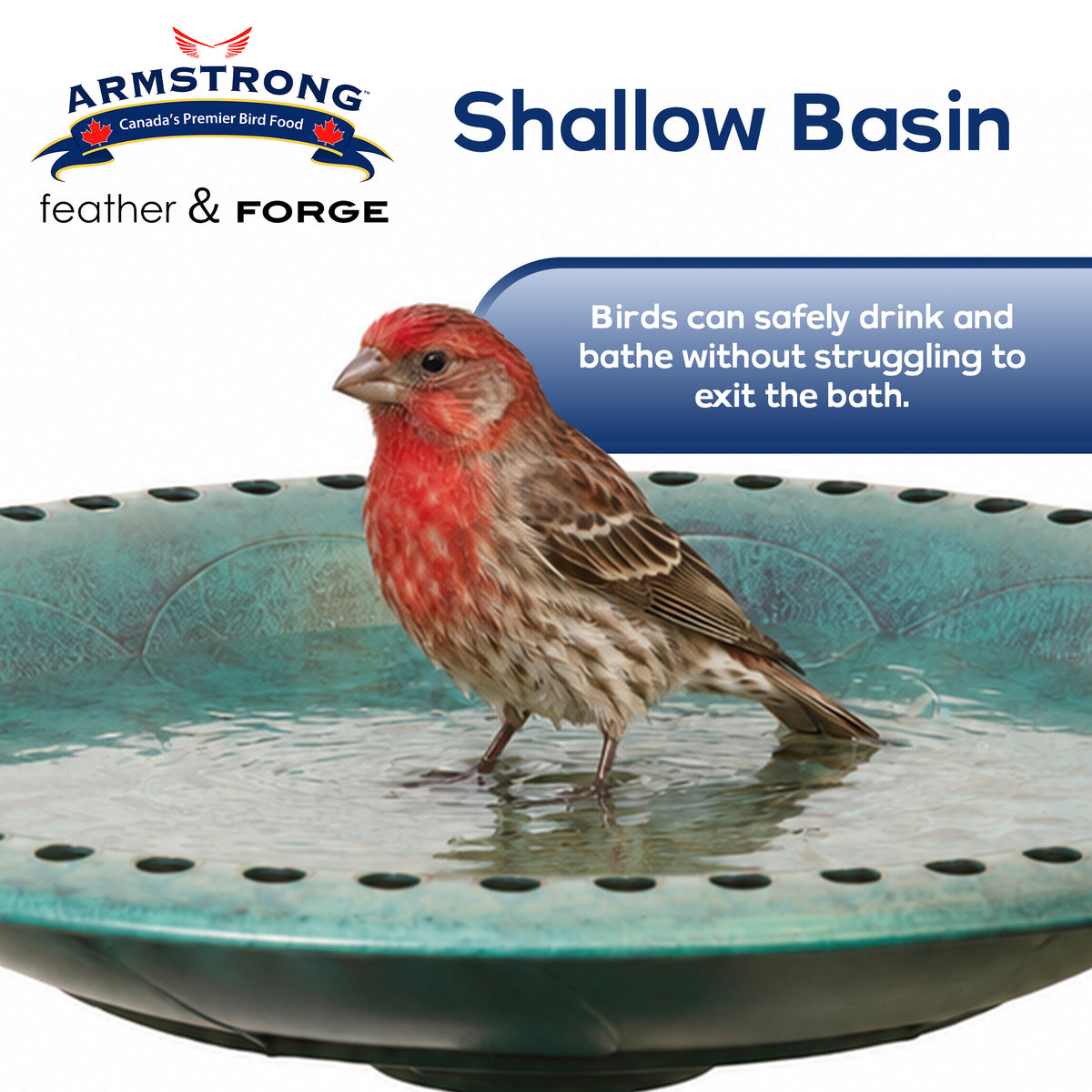 Armstrong Wild Bird Food Feather & Forge Elegant Polymer Bird Bath, Jade, 27in