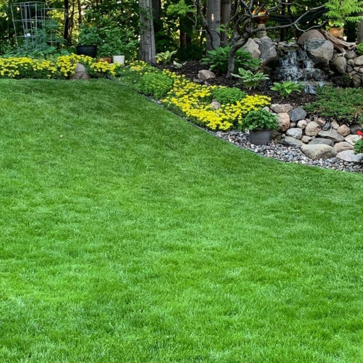 Jonathan Green Lawn Moss Control Herbicide, 20lb, Covers 5,000 sq ft