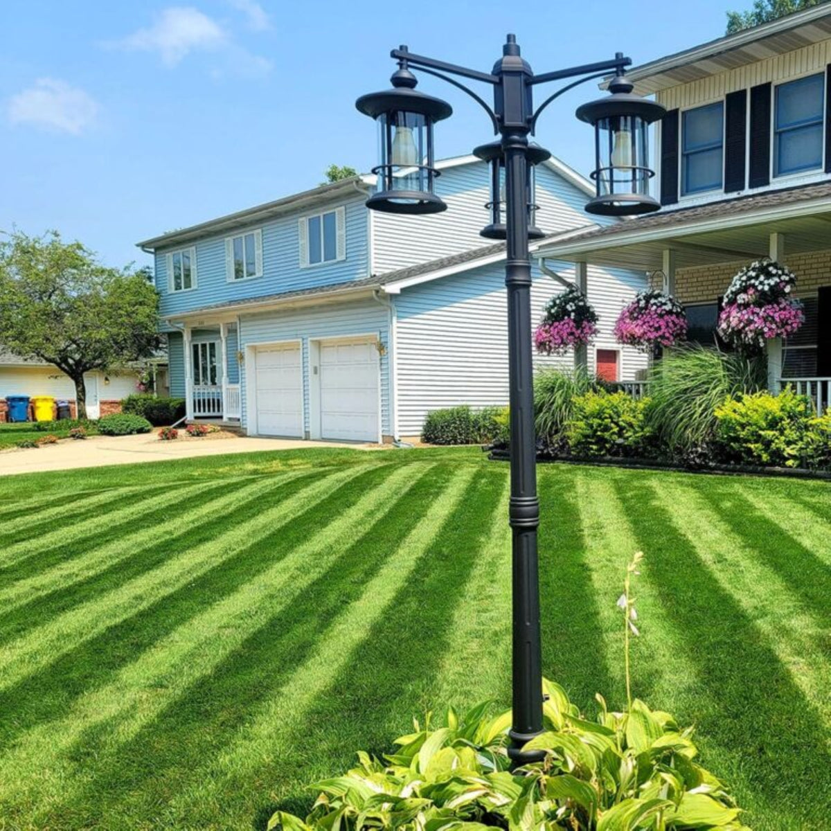 Jonathan Green Lawn Fungus Control