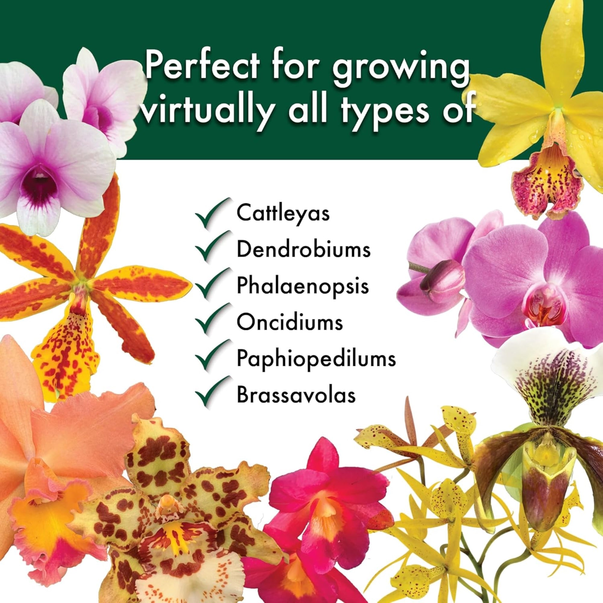 Better-Gro Special Orchid Flower Potting Mix, 8qrt