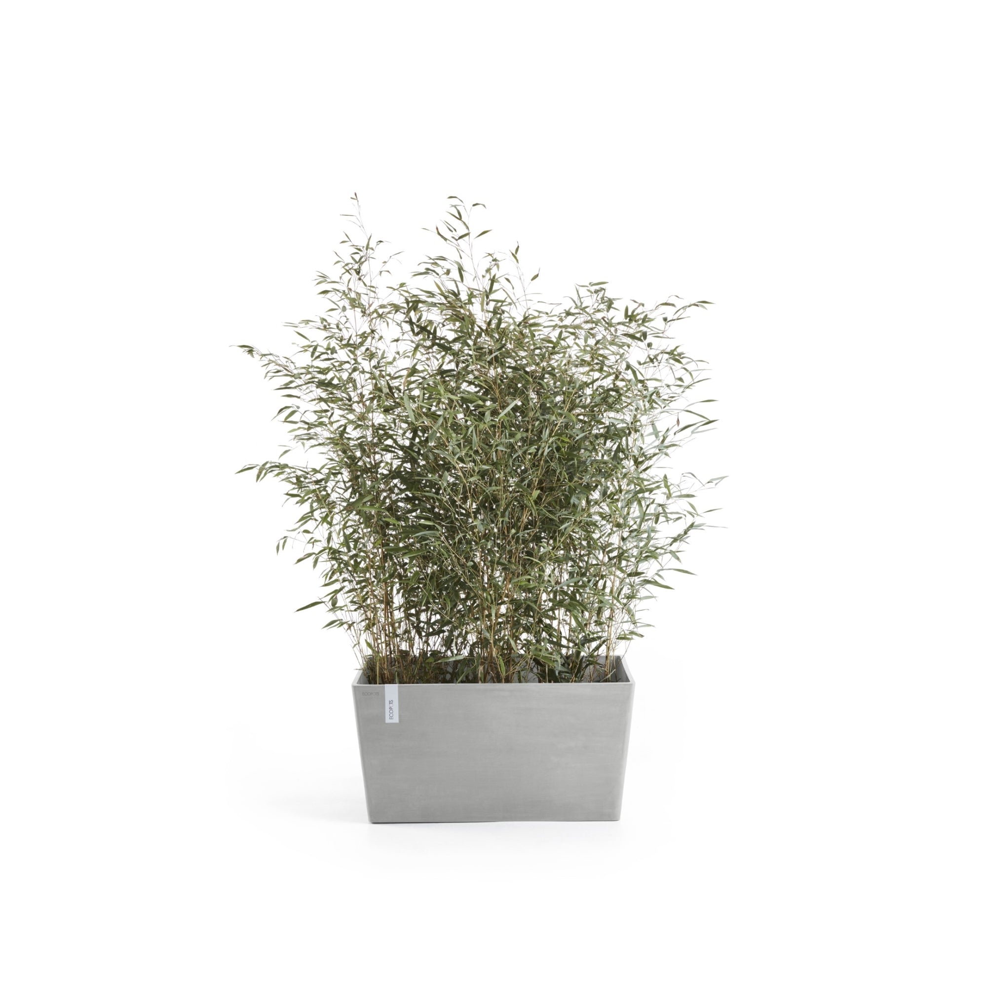 Ecopots Paris Durable Modern Rectangular Indoor/Outdoor Recycled-Based Composite Flower Planter