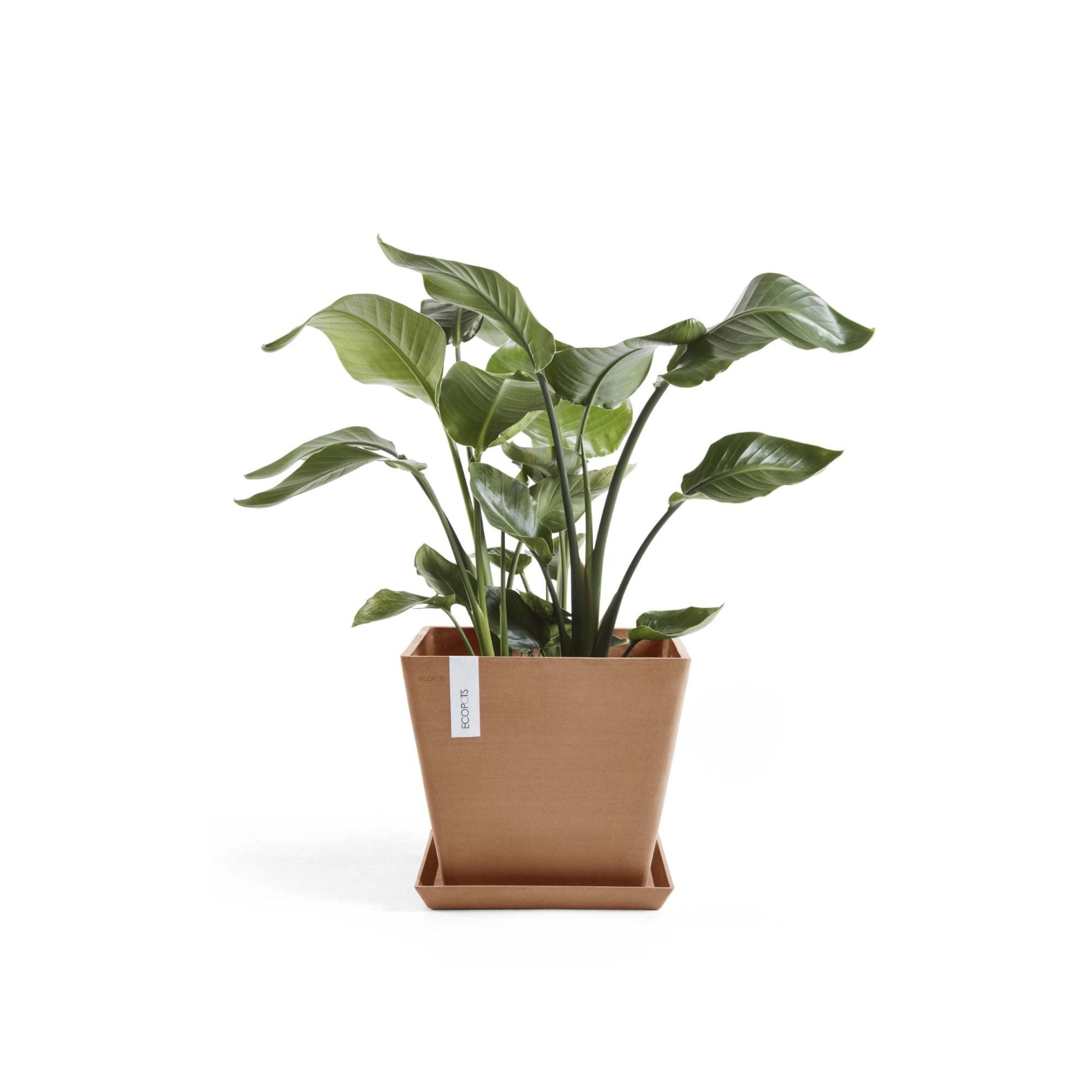 Ecopots Rotterdam Durable Modern Square Indoor/Outdoor Recycled-Based Composite Flower Planter
