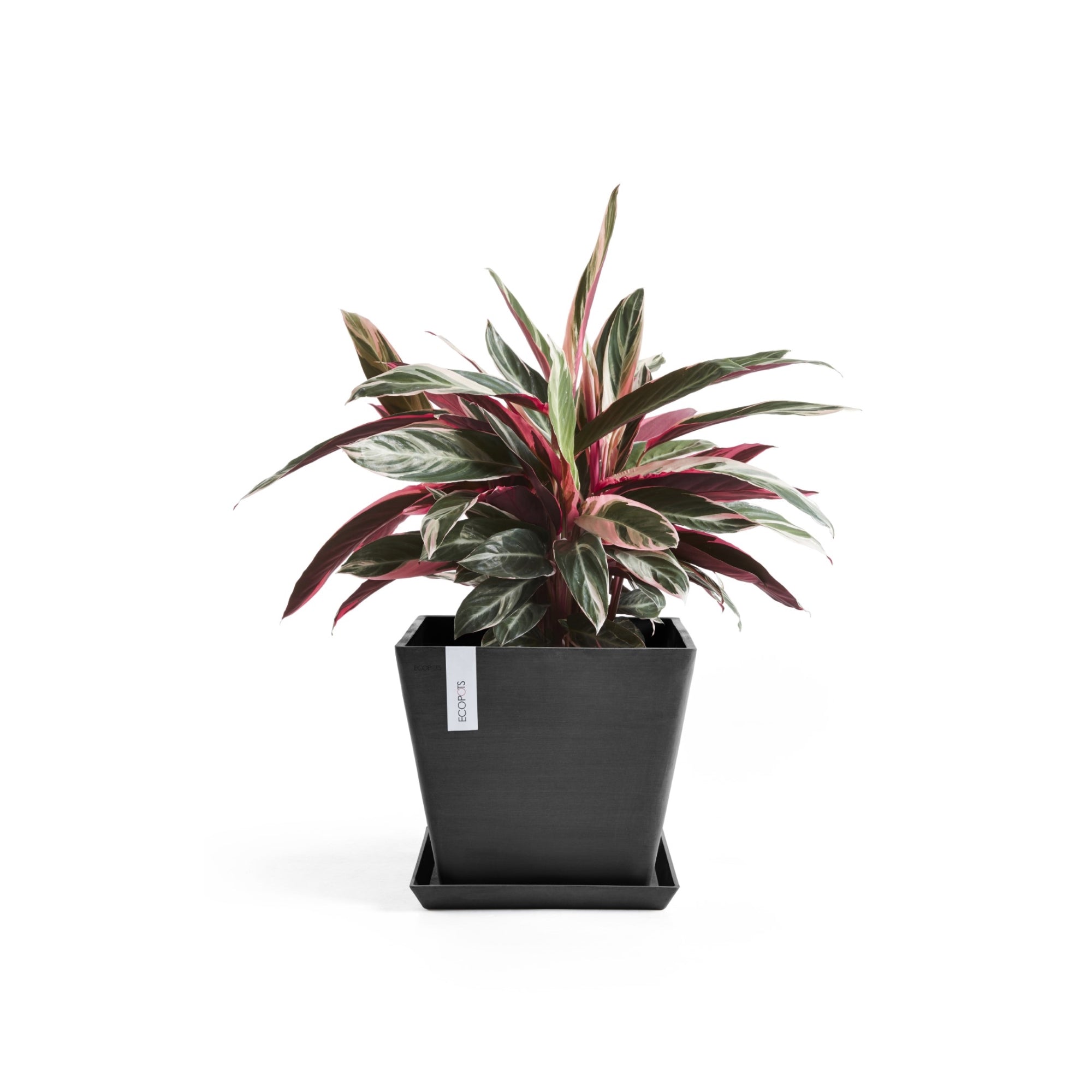 Ecopots Rotterdam Durable Modern Square Indoor/Outdoor Recycled-Based Composite Flower Planter