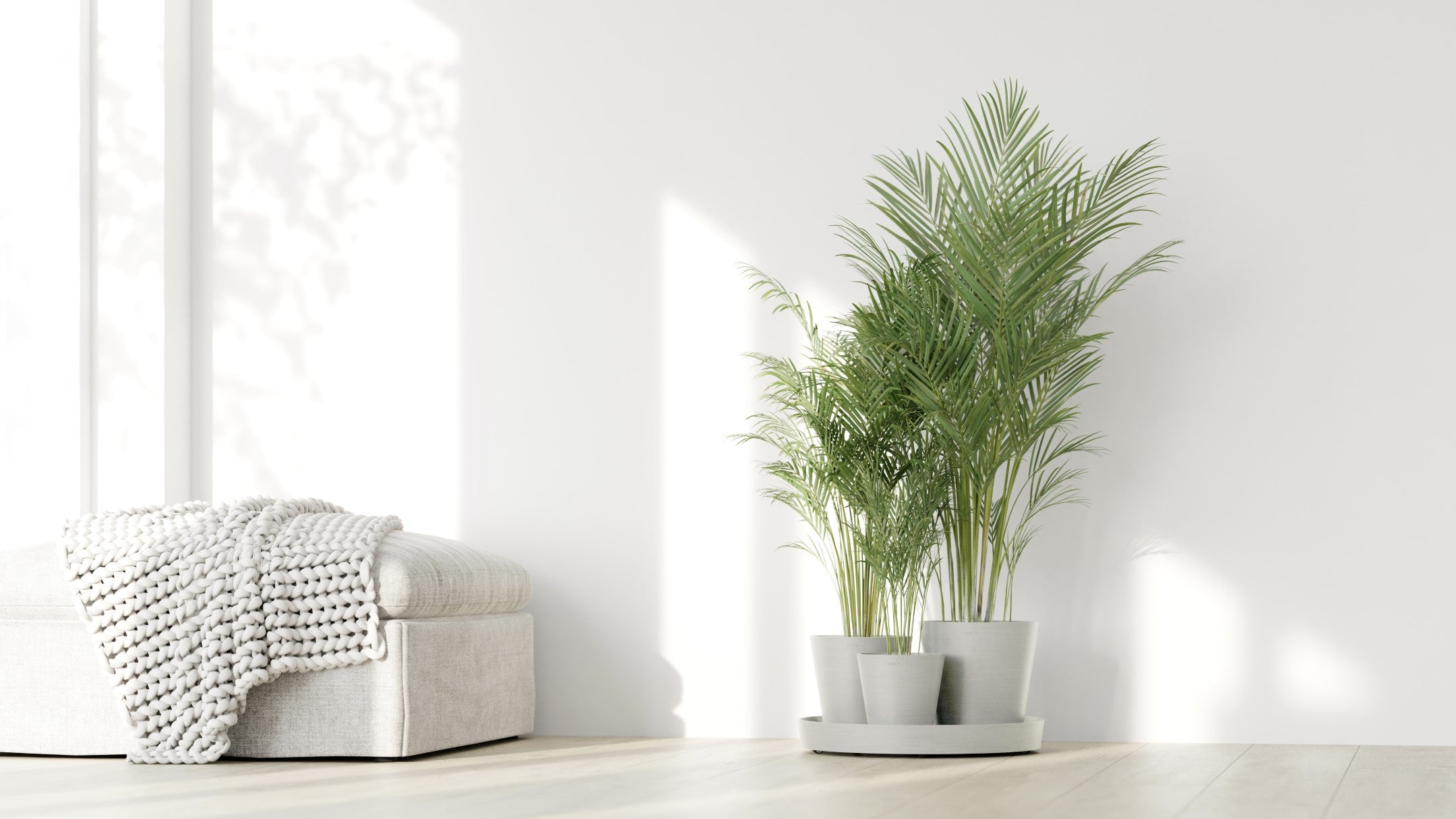 Ecopots Dubai Self Watering Durable Modern Round Indoor/Outdoor Recycled-Based Composite Flower Pot Planters w/Wheels and Saucer, 22"