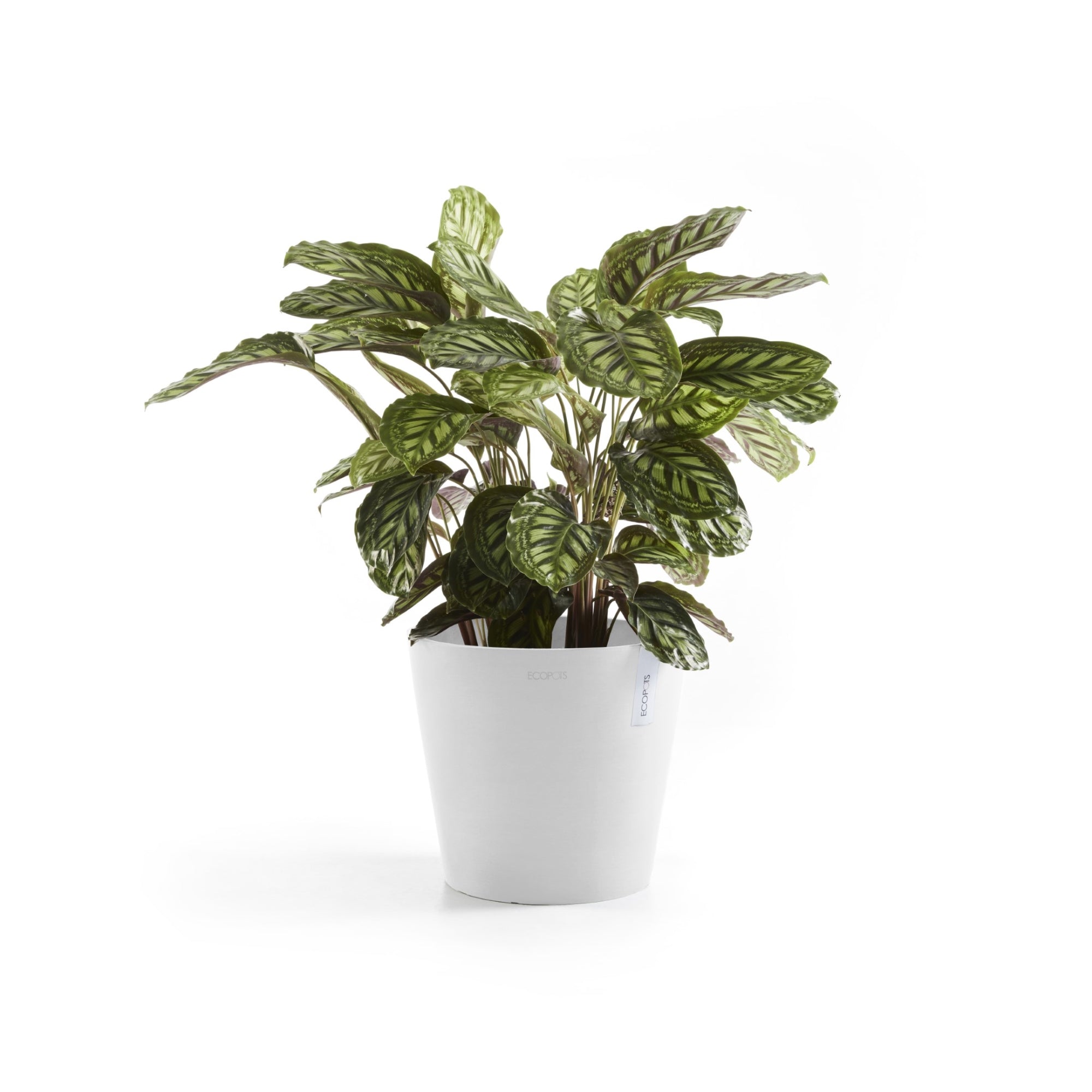 Ecopots Amsterdam Durable Modern Round In/Outdoor Recycled-Based Composite Flower Pot Planter