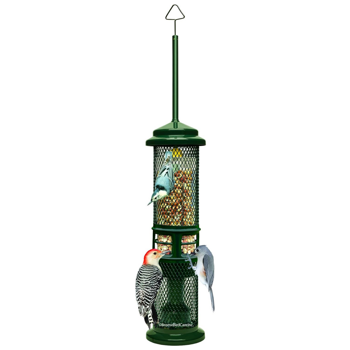 Brome Squirrel Buster Squirrel-Proof Bird Feeder for Nuts