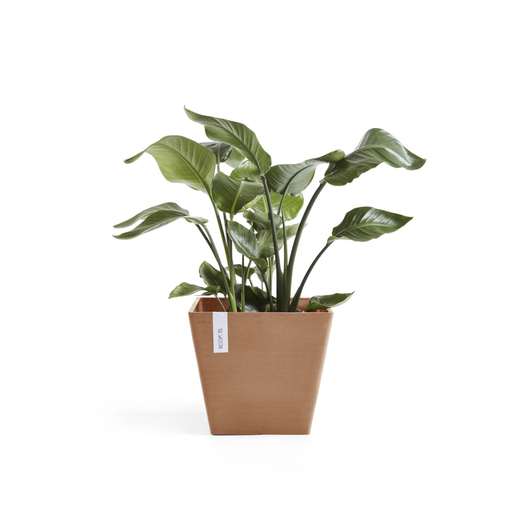 Ecopots Rotterdam Durable Modern Square Indoor/Outdoor Recycled-Based Composite Flower Planter