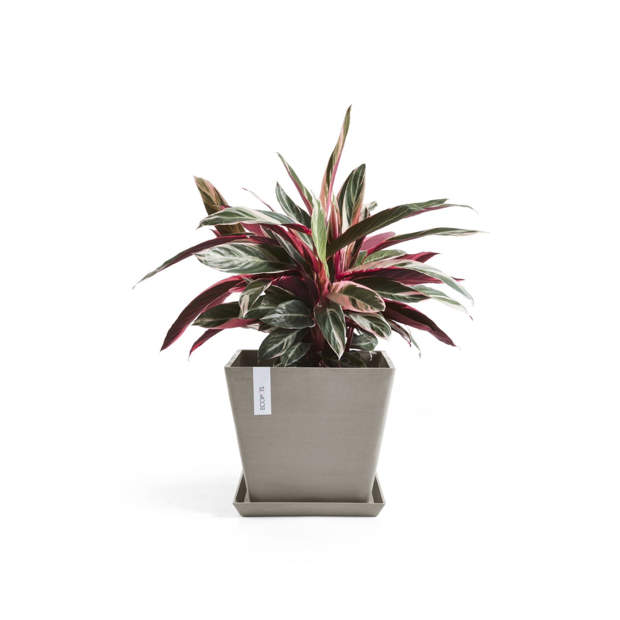 Ecopots Rotterdam Durable Modern Square Indoor/Outdoor Recycled-Based Composite Flower Planter
