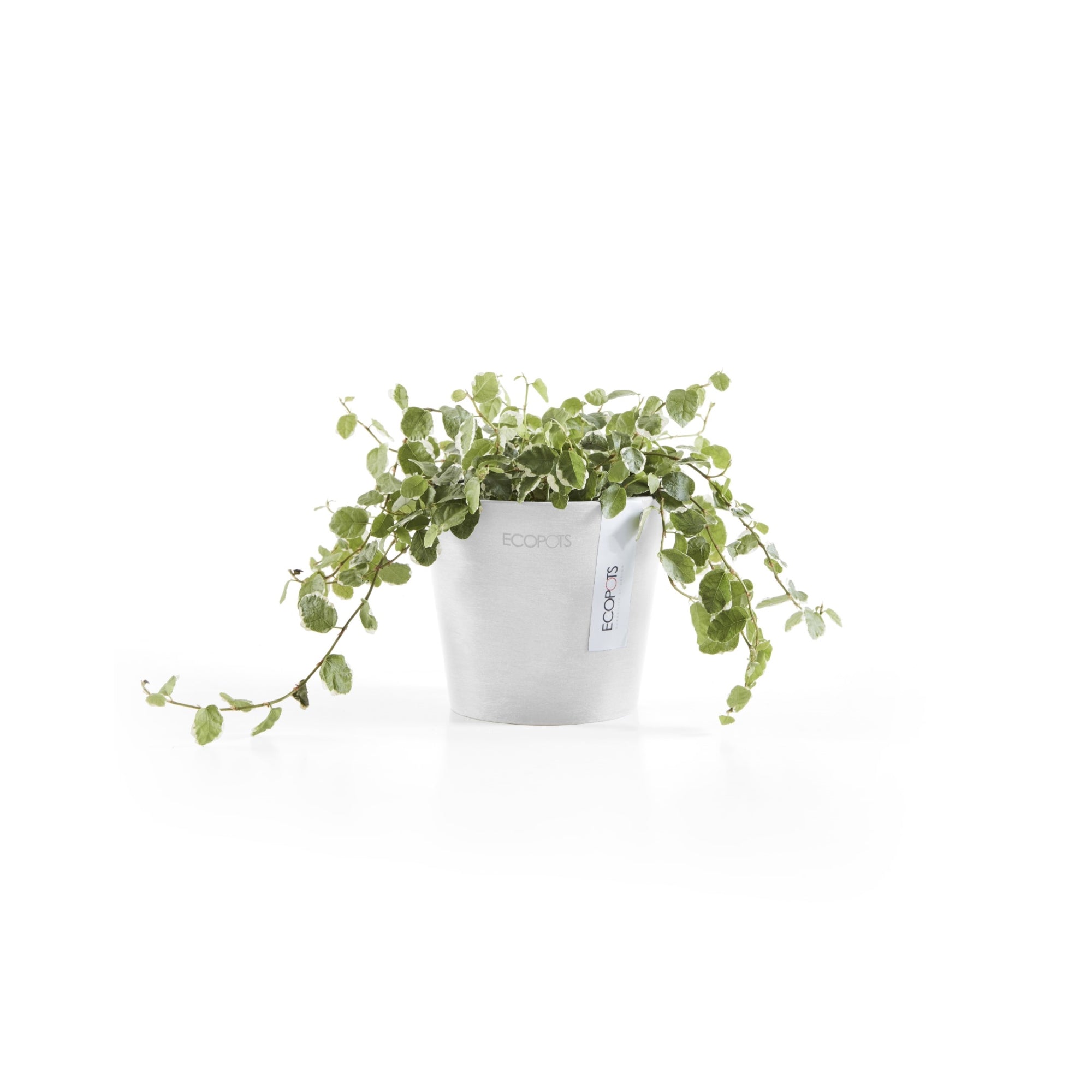 Ecopots Amsterdam Mini Durable Modern Round Recycled-Based Composite Flower Pot Planter