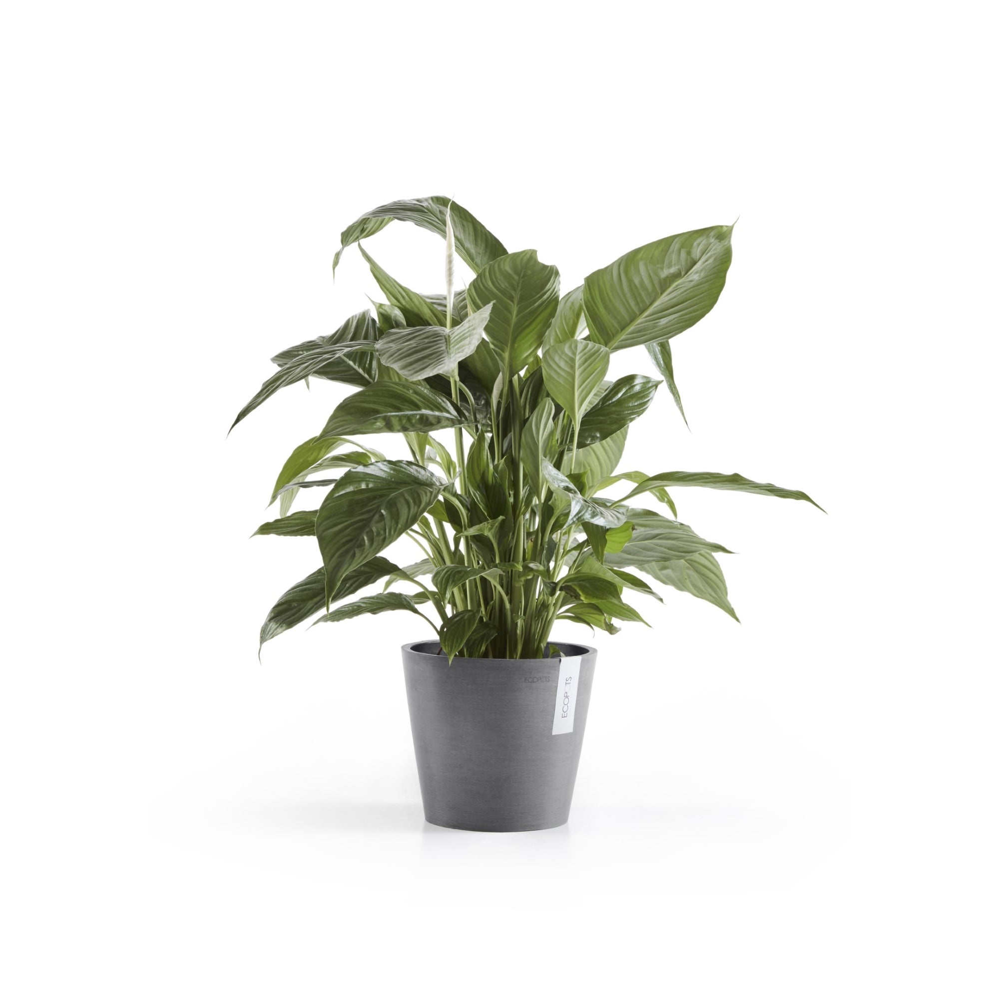 Ecopots Amsterdam Durable Modern Round In/Outdoor Recycled-Based Composite Flower Pot Planter