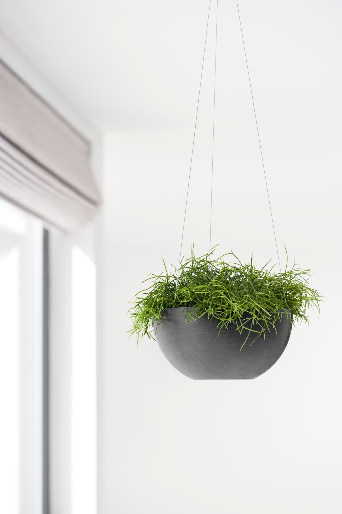 Ecopots Hanging Brussels Durable Modern Round Indoor/Outdoor Recycled-Based Composite Flower Pot Planter