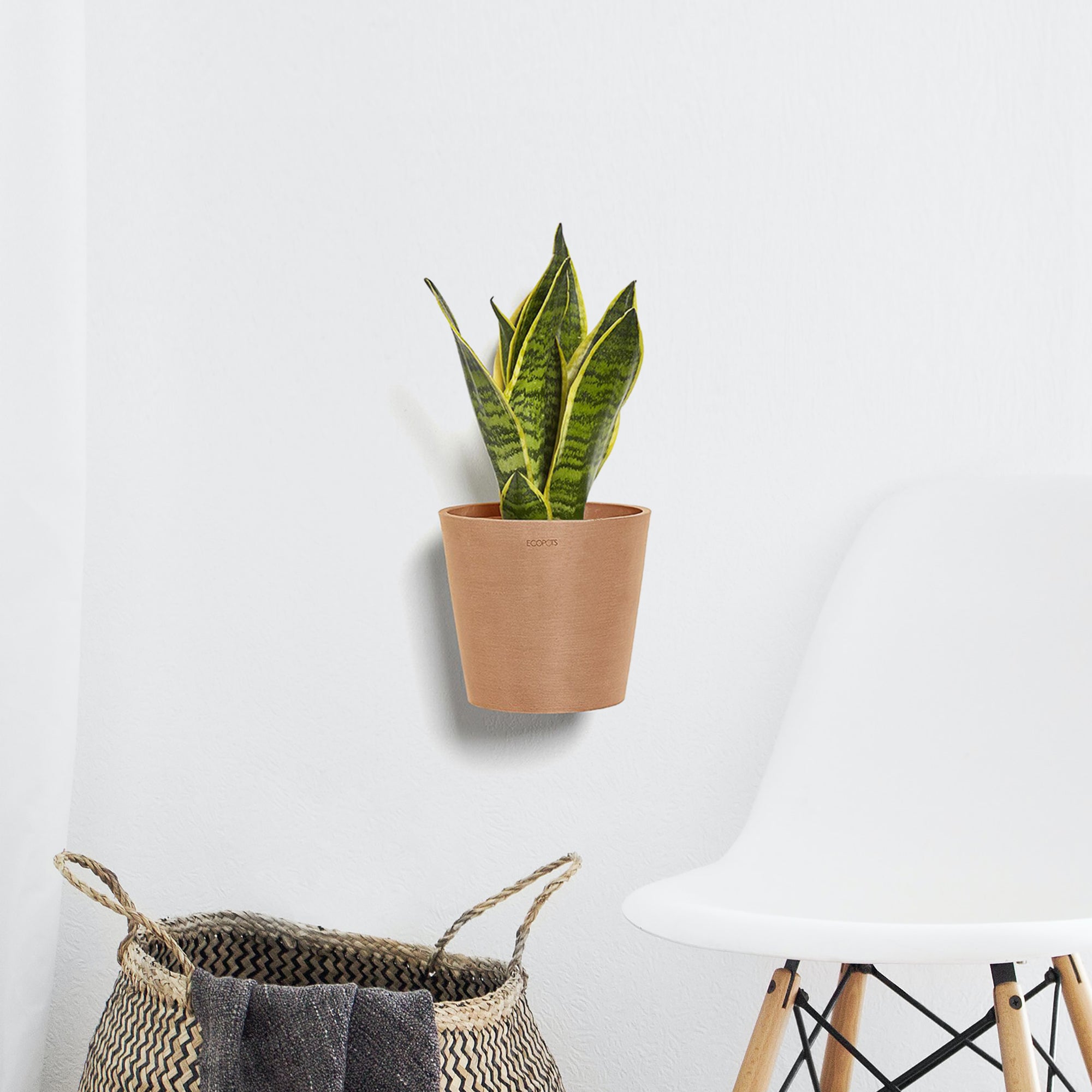 Ecopots Amsterdam Wall Durable Modern Round Indoor/Outdoor Recycled-Based Composite Hanging Flower Pot Planter, 8"