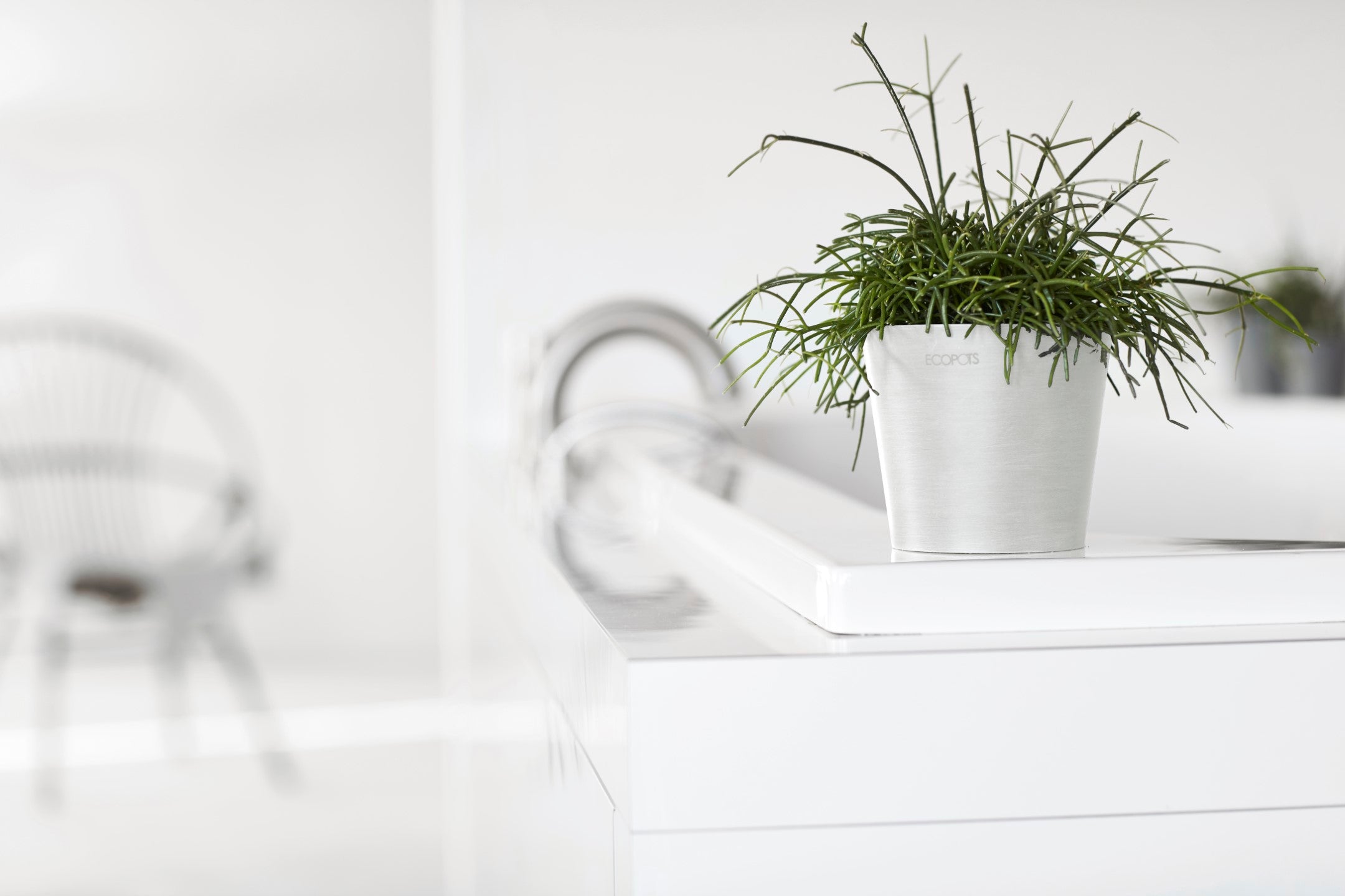 Ecopots Amsterdam Mini Durable Modern Round Recycled-Based Composite Flower Pot Planter