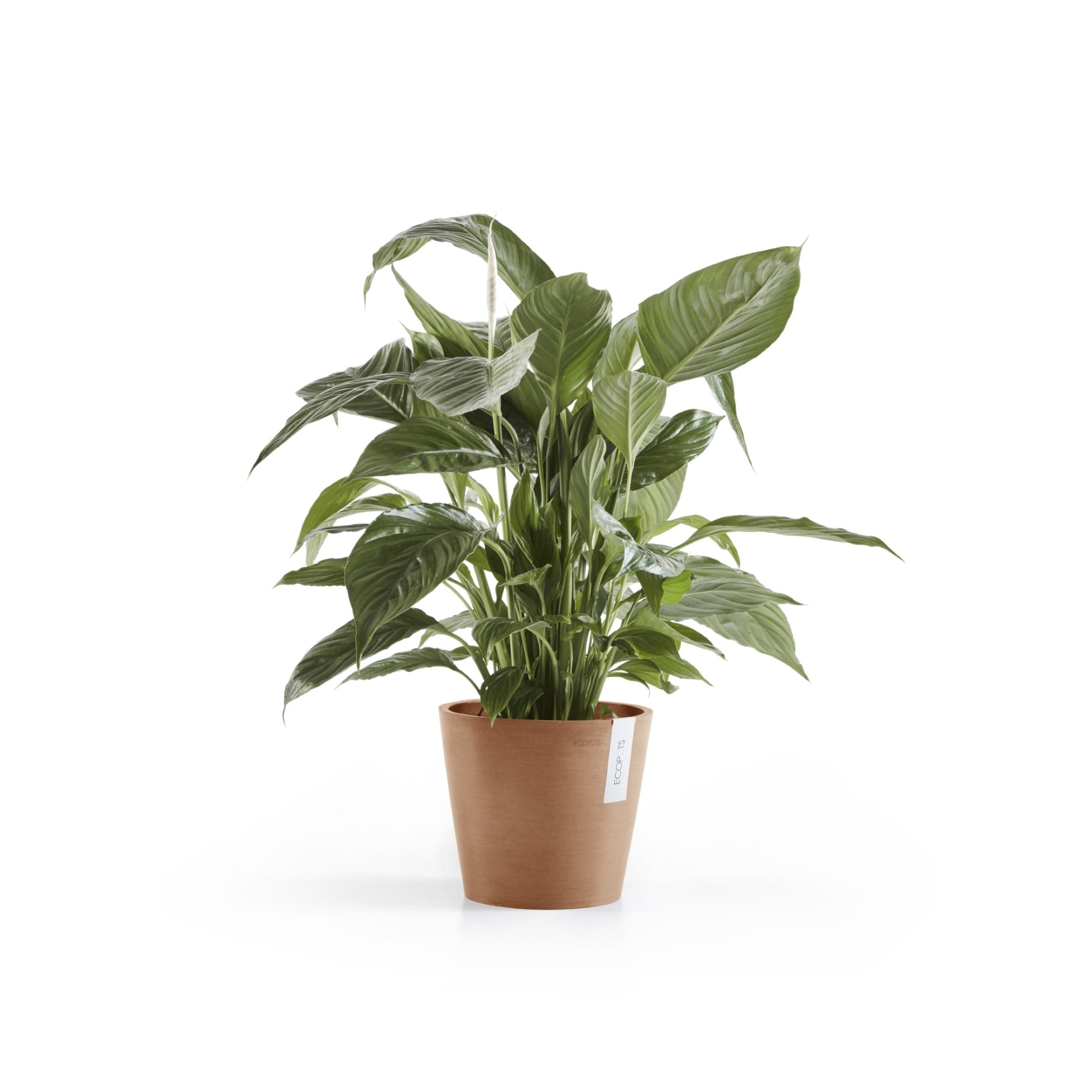 Ecopots Amsterdam Durable Modern Round In/Outdoor Recycled-Based Composite Flower Pot Planter