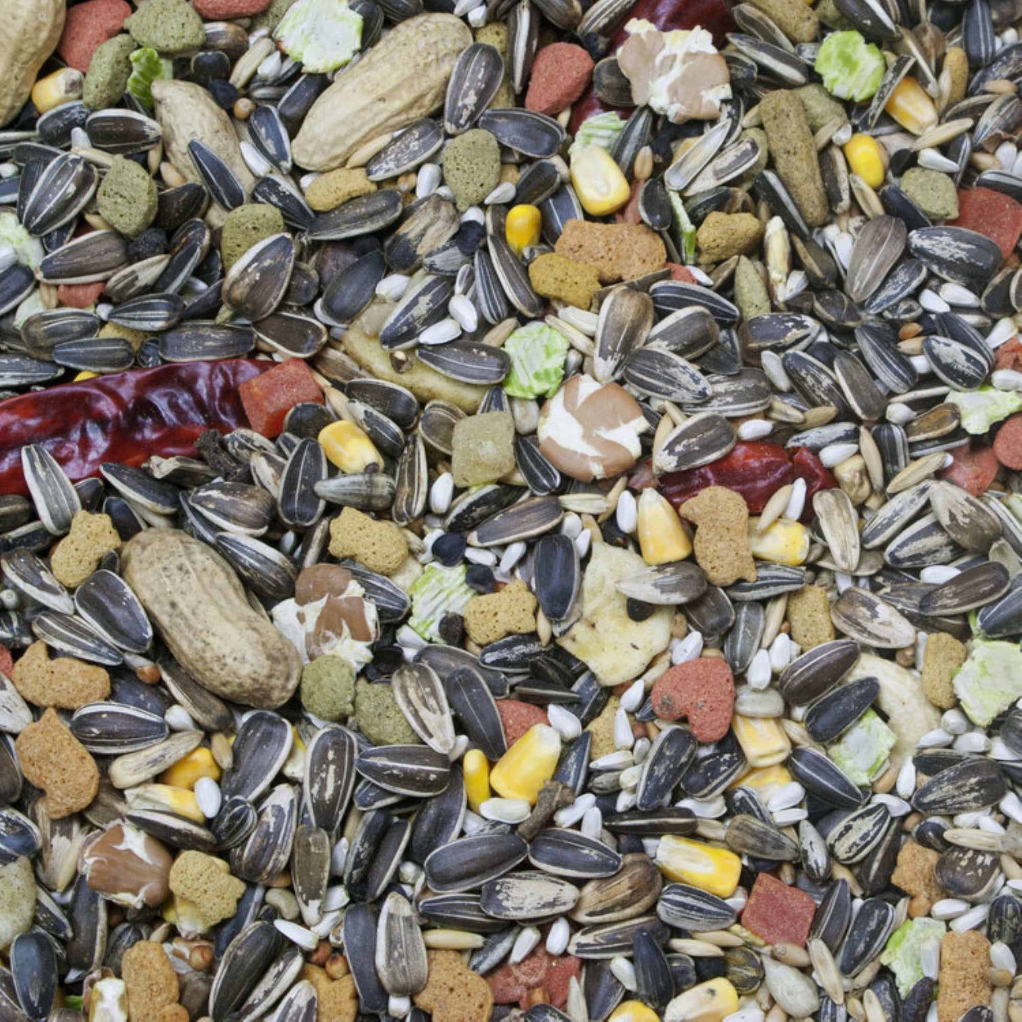 Higgins Vita Seed Natural Blend with Added Vitamins and Minerals for Parrots, 25lbs