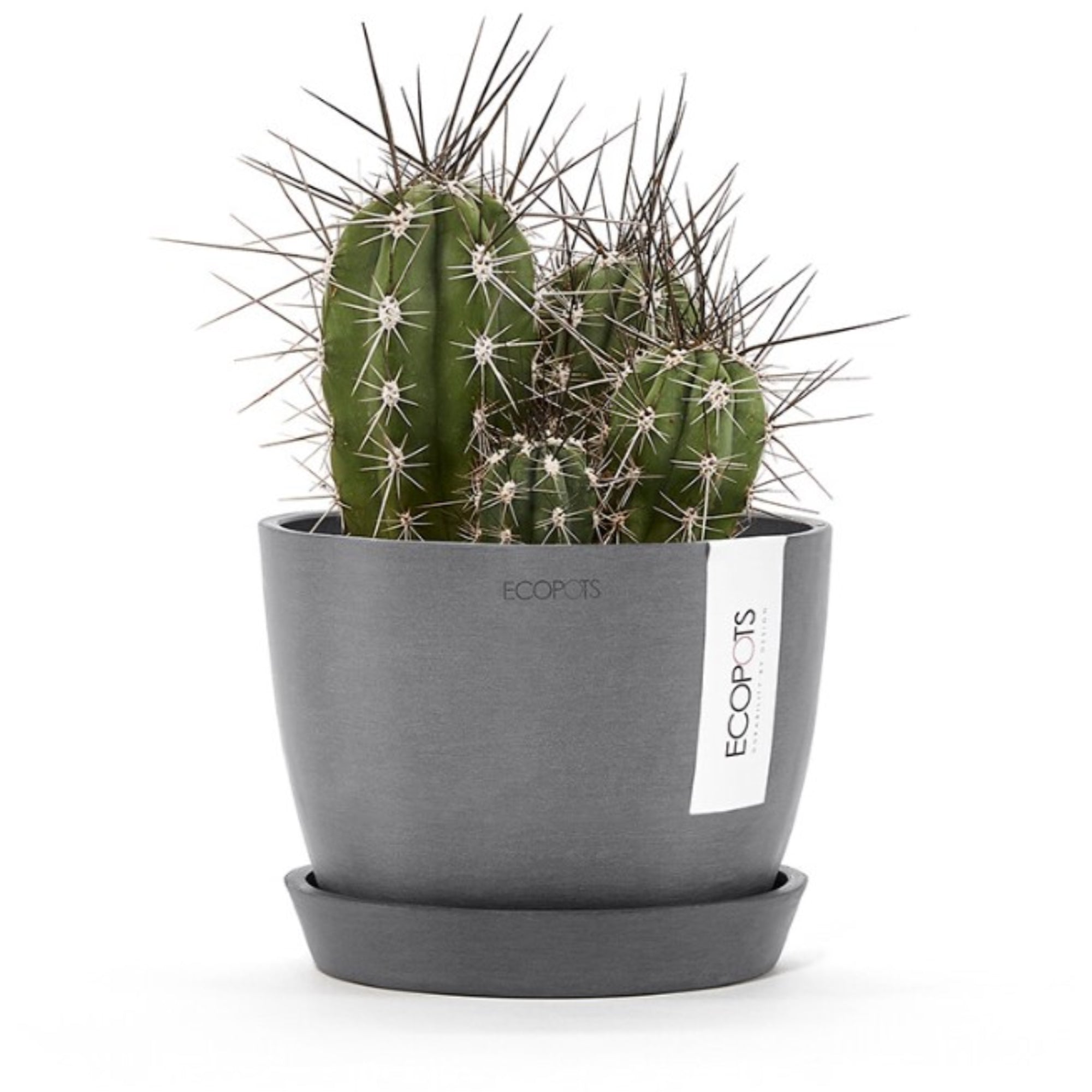 Ecopots Round Recycled Plastic Modern In/Outdoor Planter Flower Pot Saucer, Small