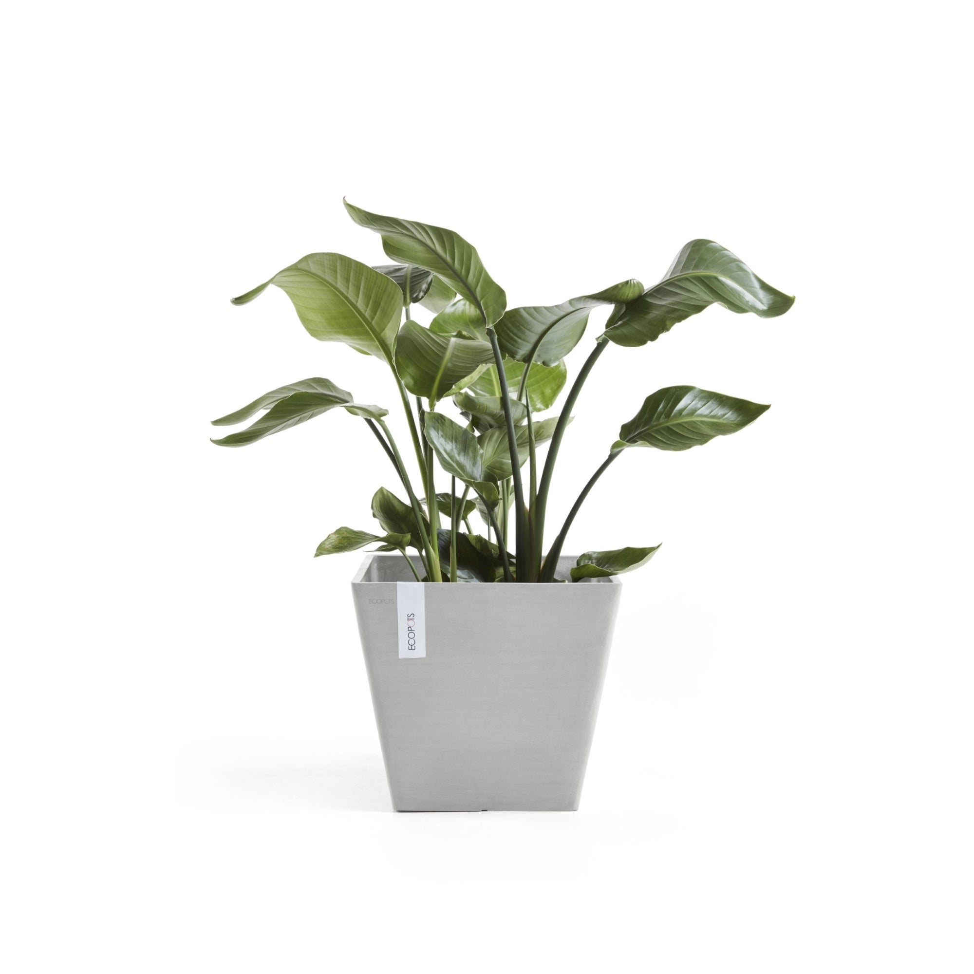 Ecopots Rotterdam Durable Modern Square Indoor/Outdoor Recycled-Based Composite Flower Planter