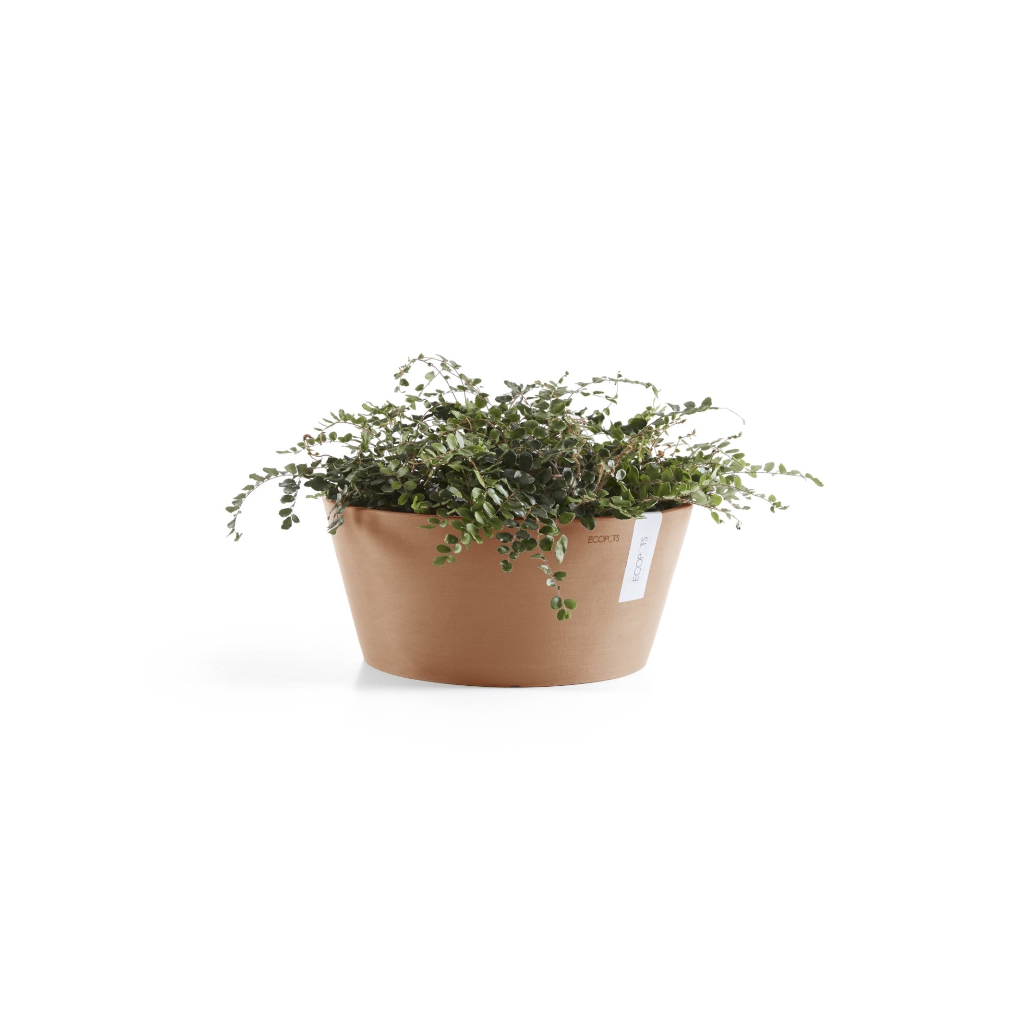 Ecopots Frankfurt Durable Modern Round Indoor/Outdoor Recycled-Based Composite Flower Pot Planter, 12"