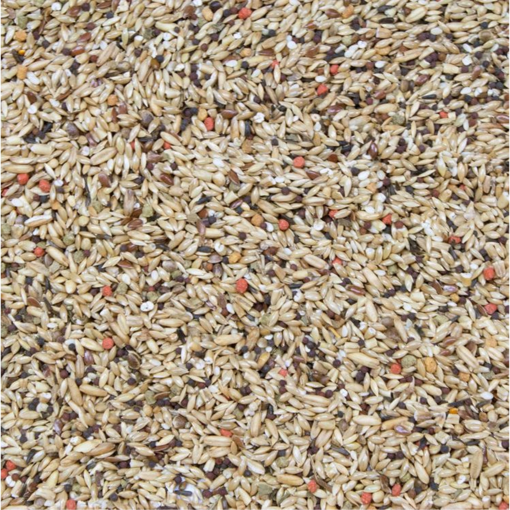 Higgins Vita Seed Indoor Pet Bird Canary Food For Birds, 25lb
