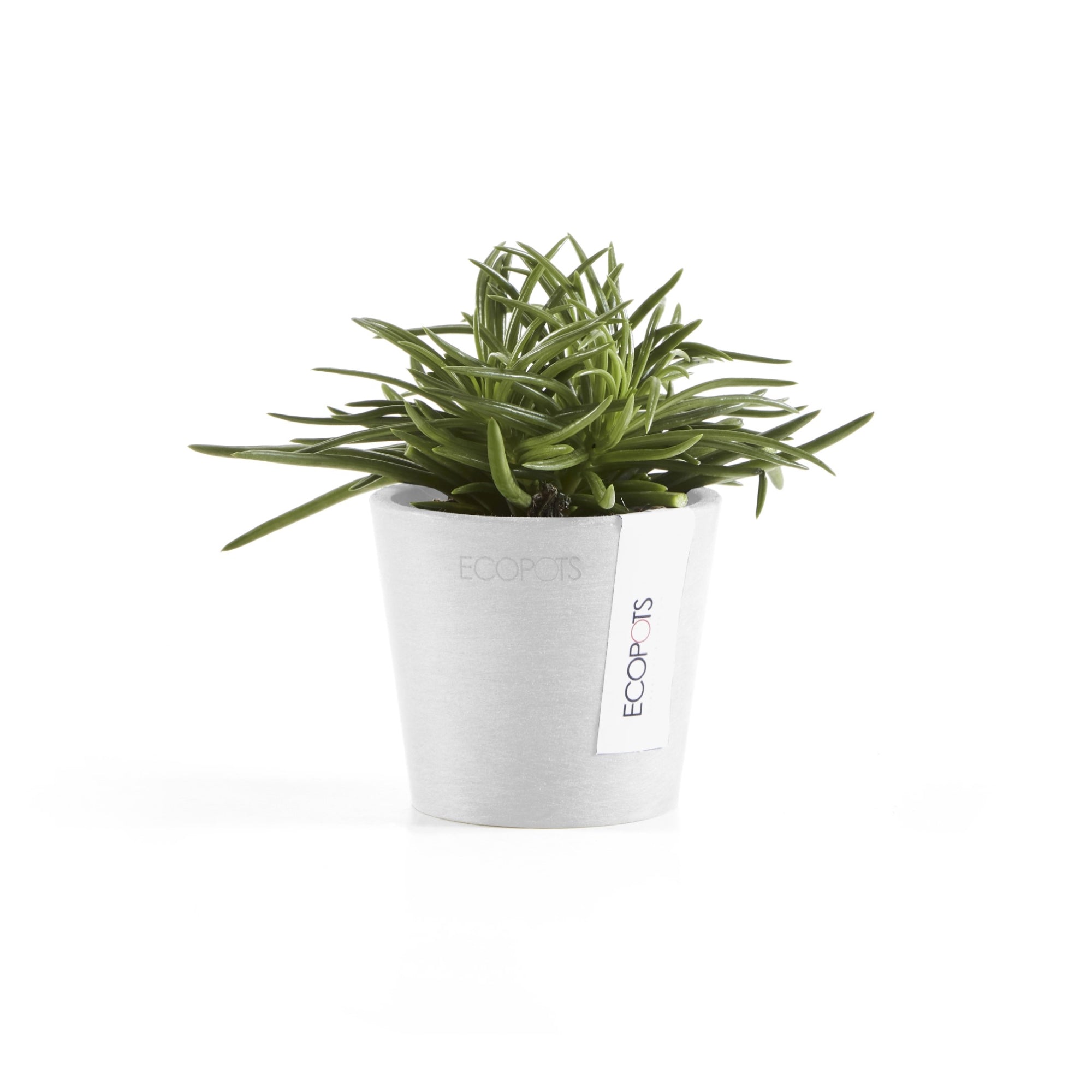 Ecopots Amsterdam Mini Durable Modern Round Recycled-Based Composite Flower Pot Planter
