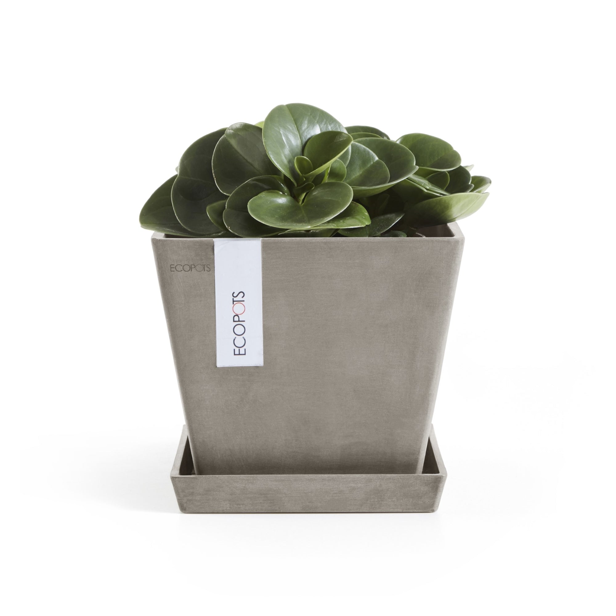 Ecopots Rotterdam Durable Modern Square Indoor/Outdoor Recycled-Based Composite Flower Planter