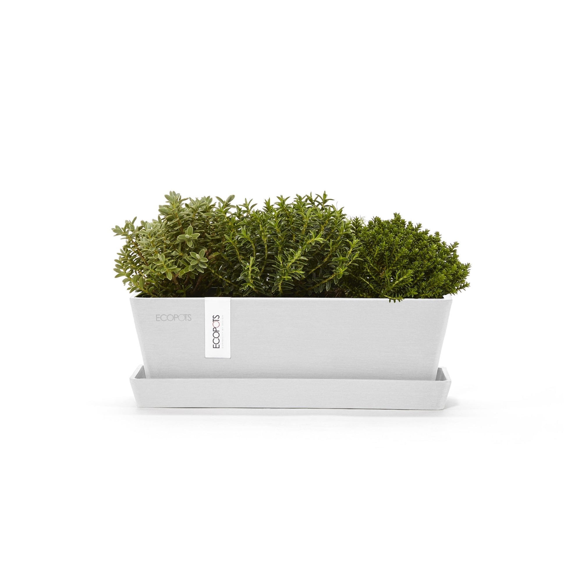 Ecopots Bruges Mini Durable Modern Rectangular Indoor/Outdoor Recycled-Based Composite Flower Pot Planter with Saucer