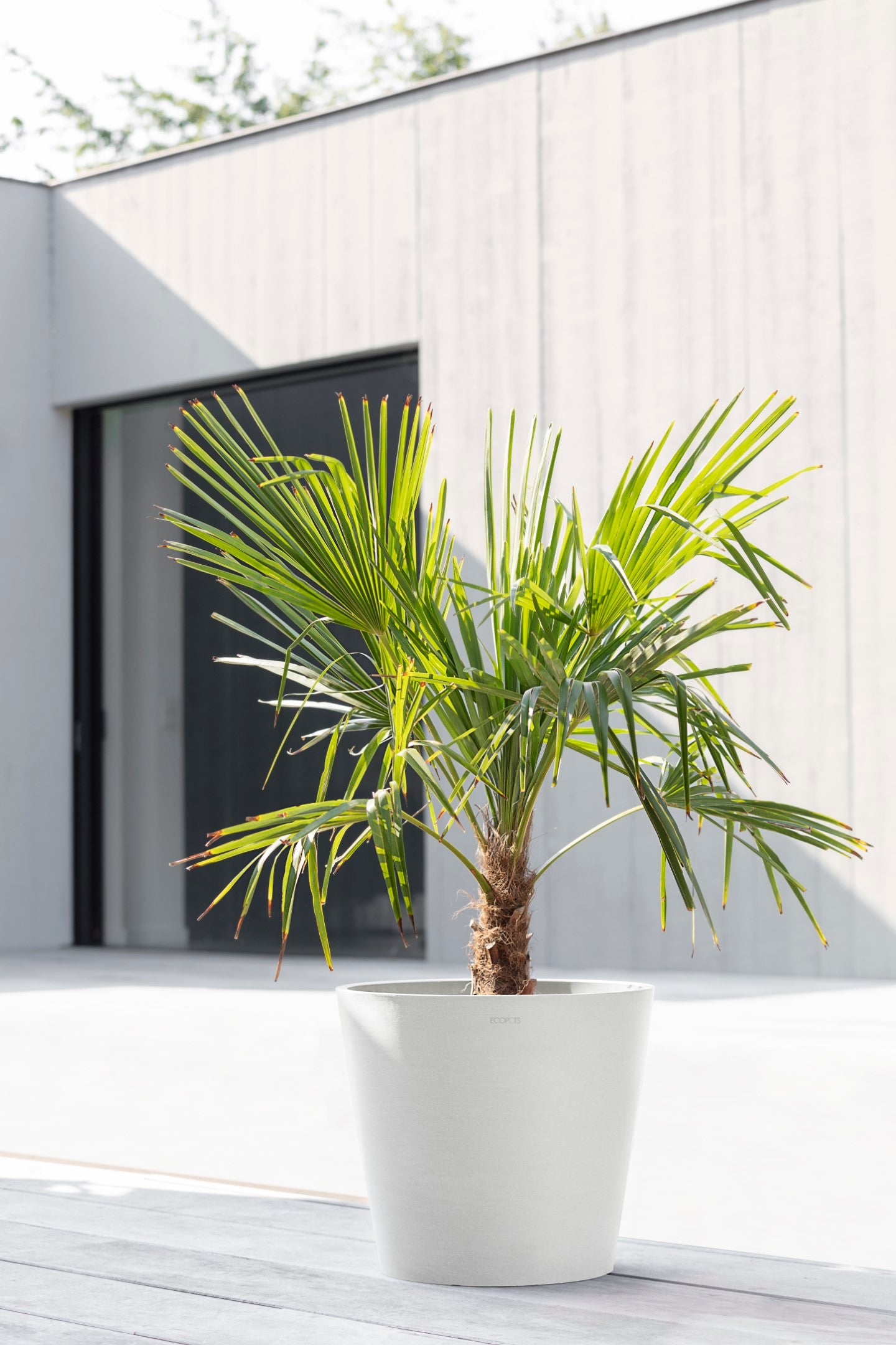 Ecopots Amsterdam Durable Modern Round In/Outdoor Recycled-Based Composite Flower Pot Planter