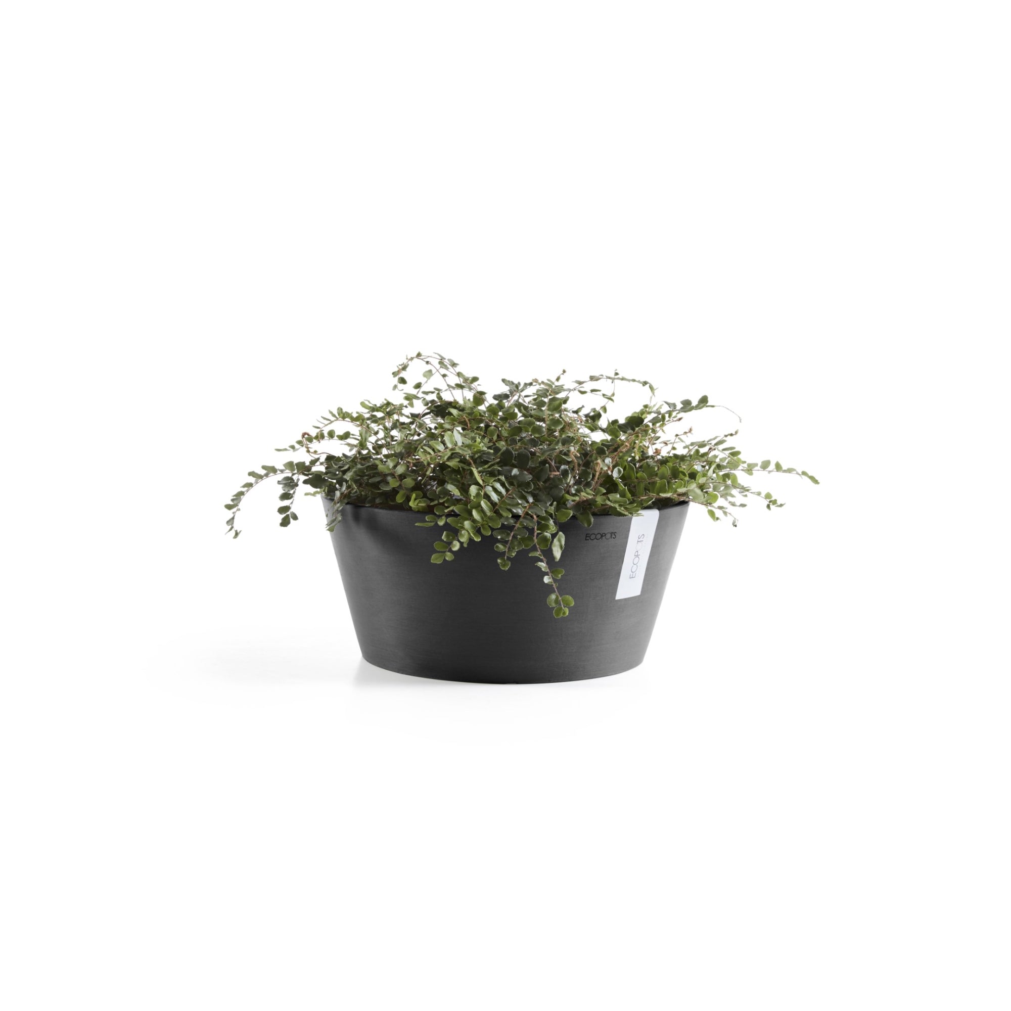 Ecopots Frankfurt Durable Modern Round Indoor/Outdoor Recycled-Based Composite Flower Pot Planter, 12"
