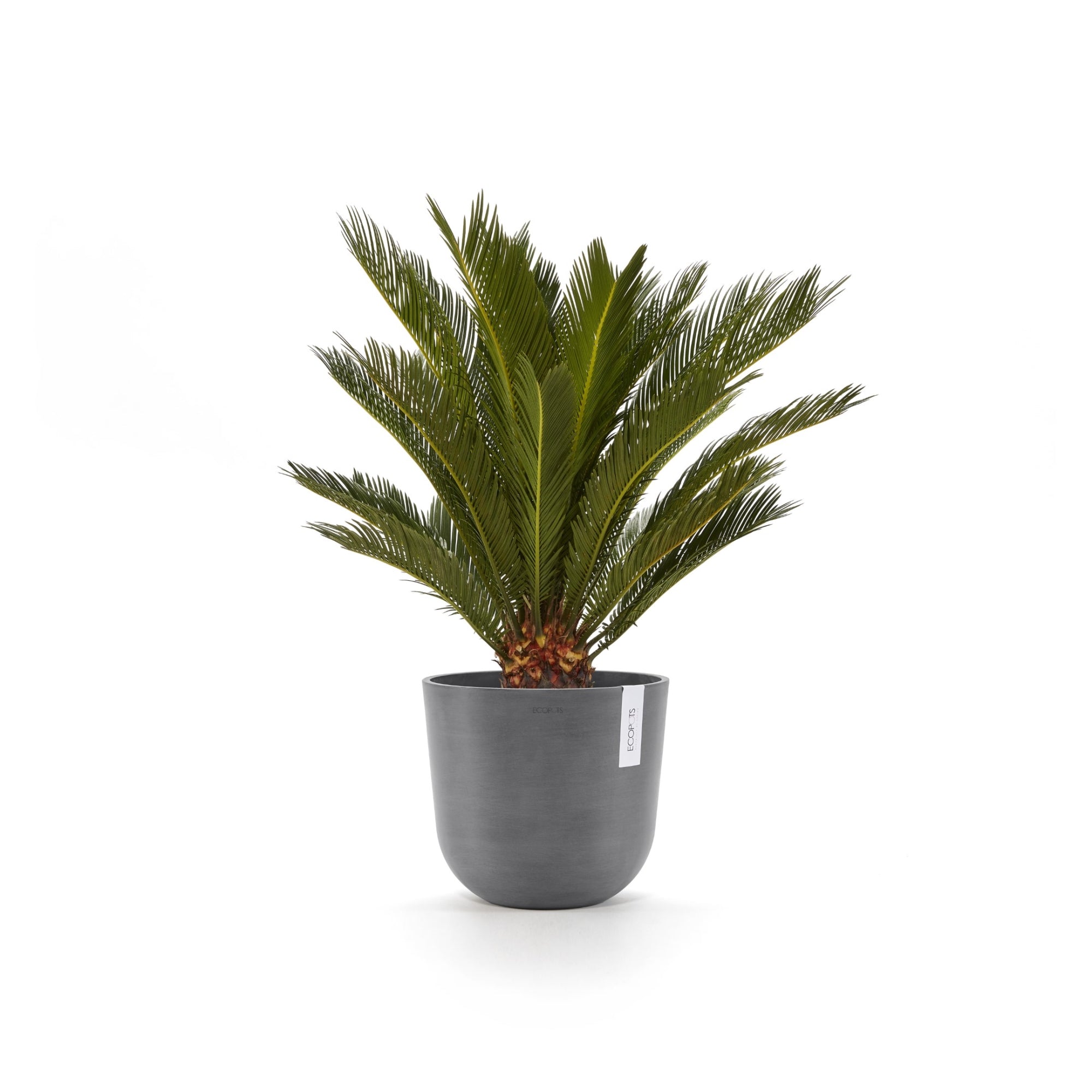 Ecopots Oslo Durable Modern Round Indoor/Outdoor Recycled-Based Composite Flower Pot Planter