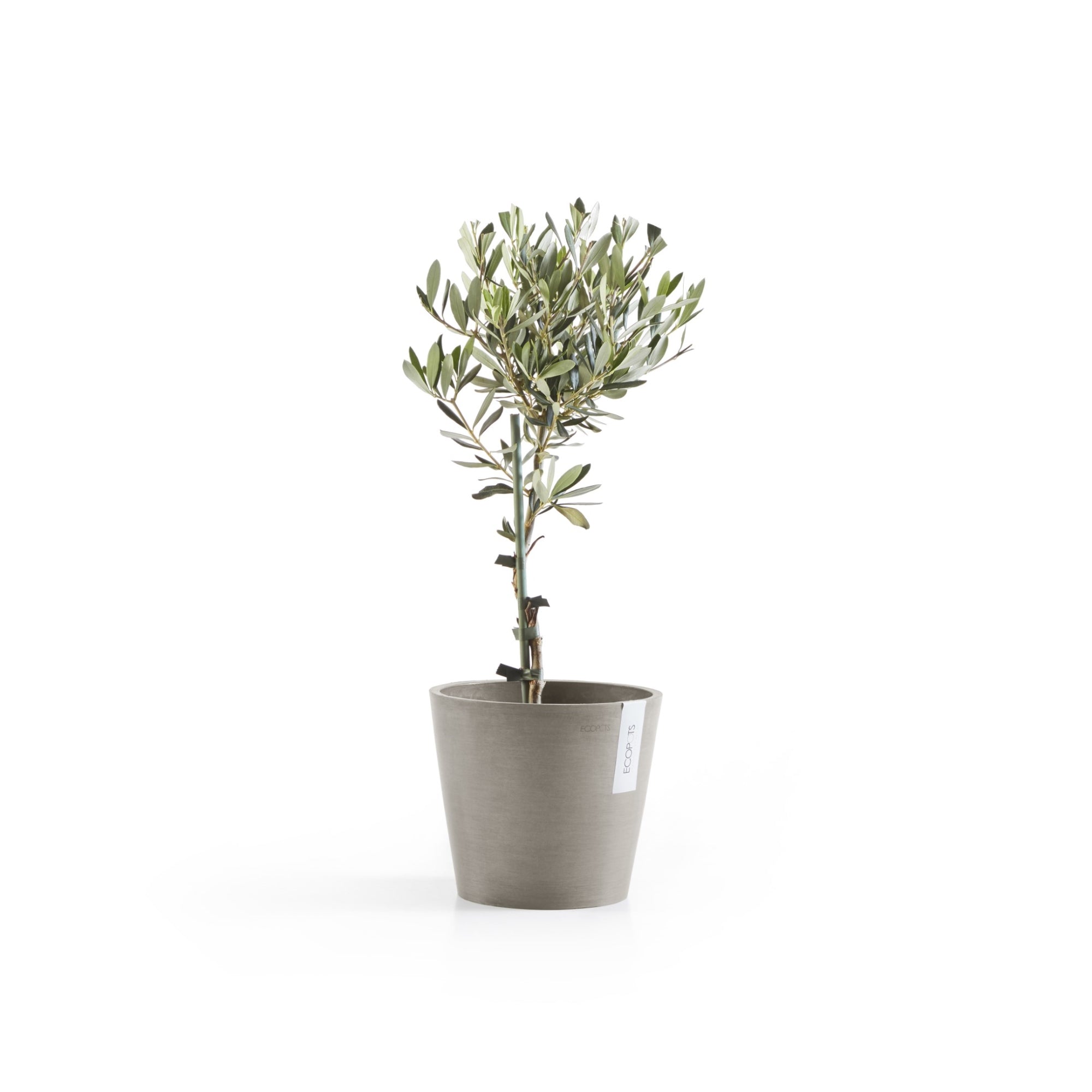 Ecopots Amsterdam Durable Modern Round In/Outdoor Recycled-Based Composite Flower Pot Planter