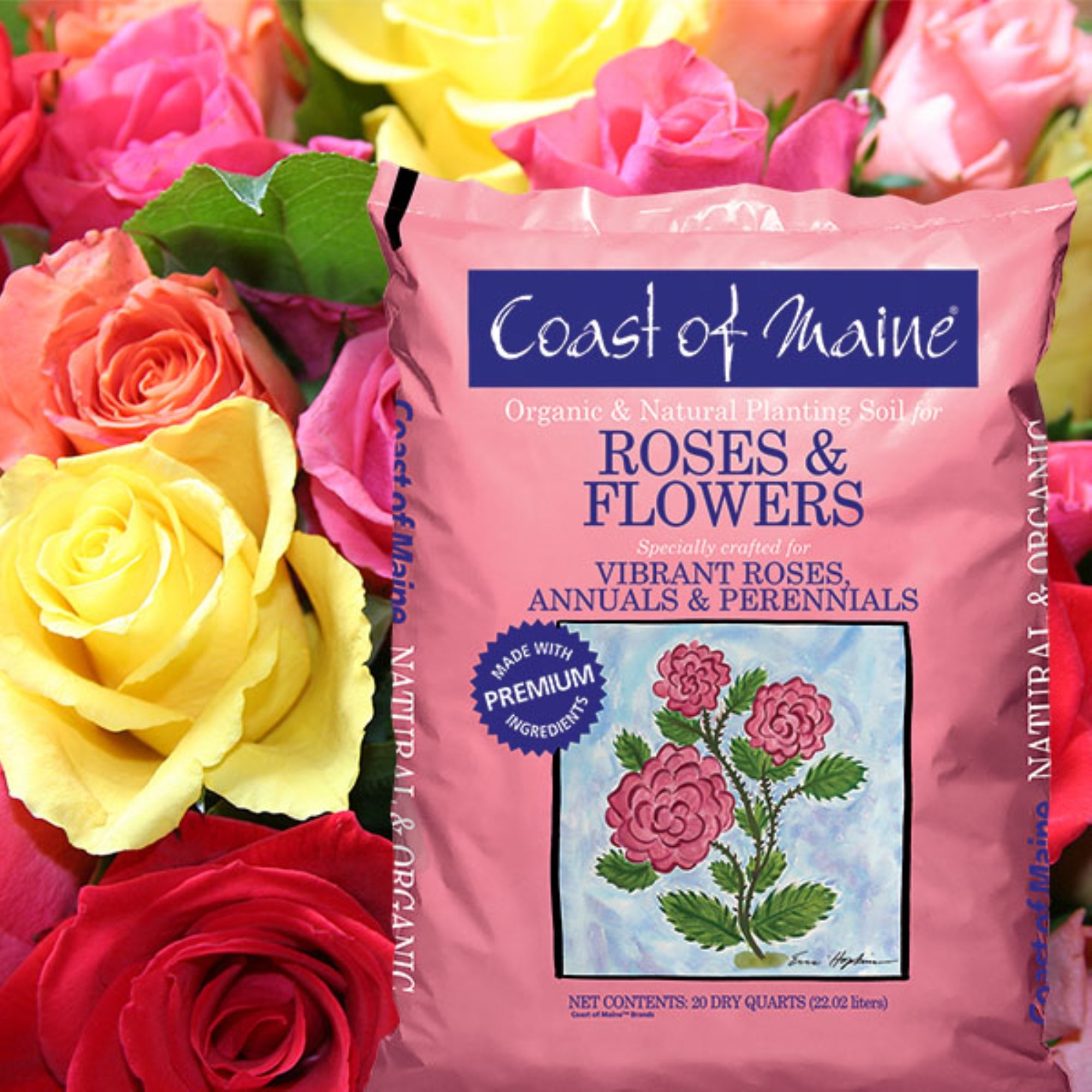 Coast of Maine Organic and Natural Planting Soil for Vibrant Roses, Annual and Perennial Flowers, 20 qt