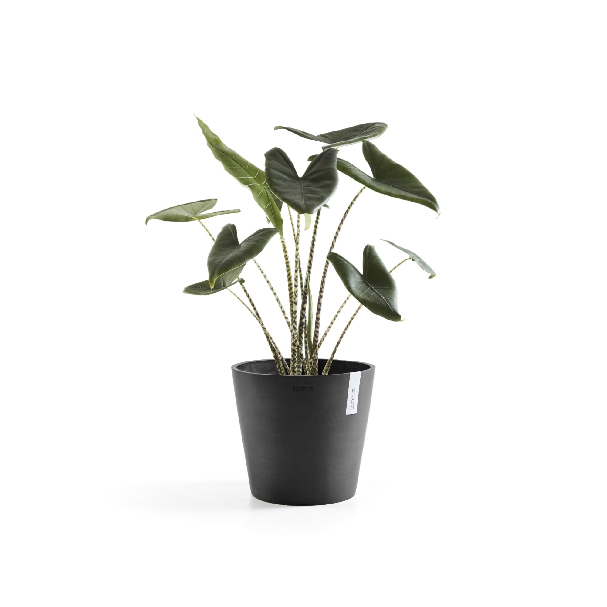 Ecopots Amsterdam Durable Modern Round In/Outdoor Recycled-Based Composite Flower Pot Planter