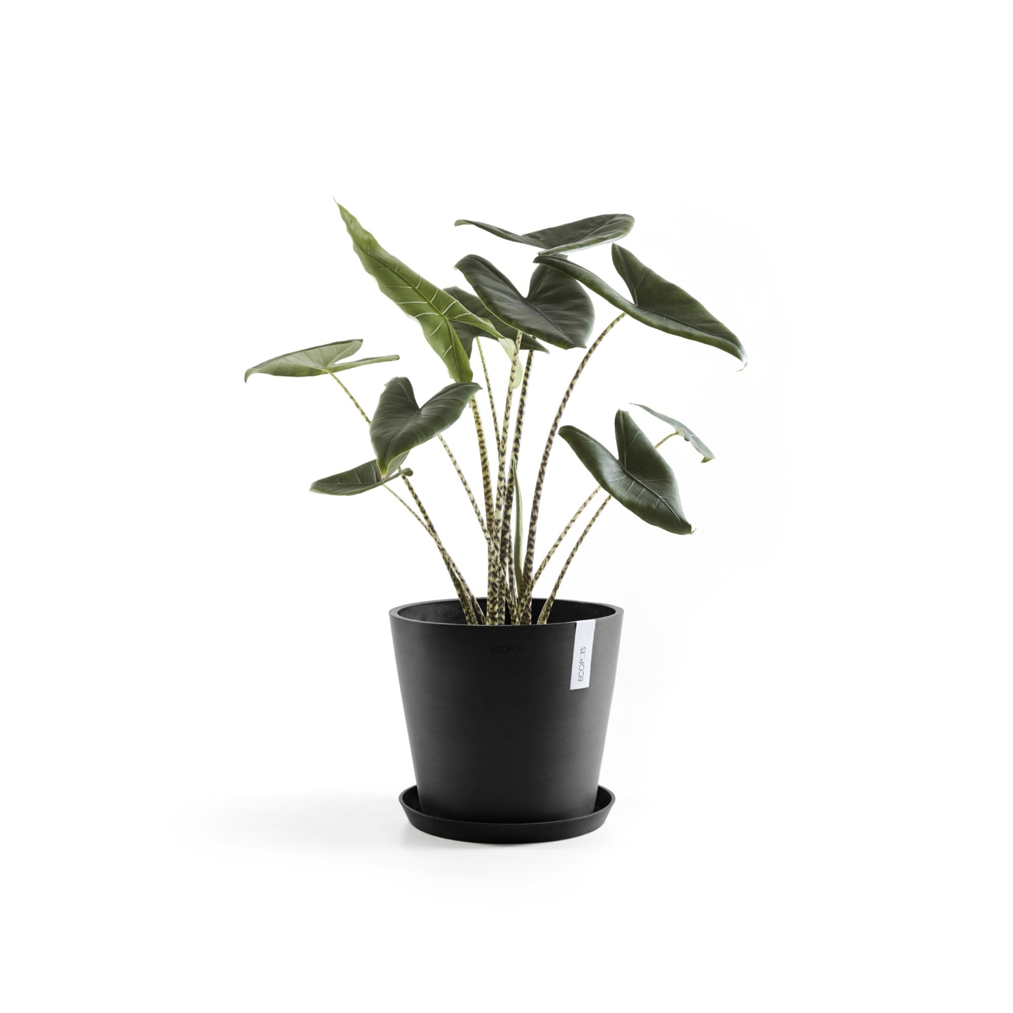Ecopots Amsterdam Durable Modern Round In/Outdoor Recycled-Based Composite Flower Pot Planter