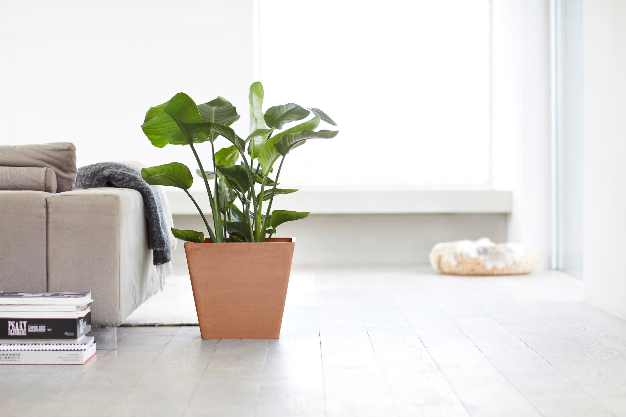 Ecopots Rotterdam Durable Modern Square Indoor/Outdoor Recycled-Based Composite Flower Planter