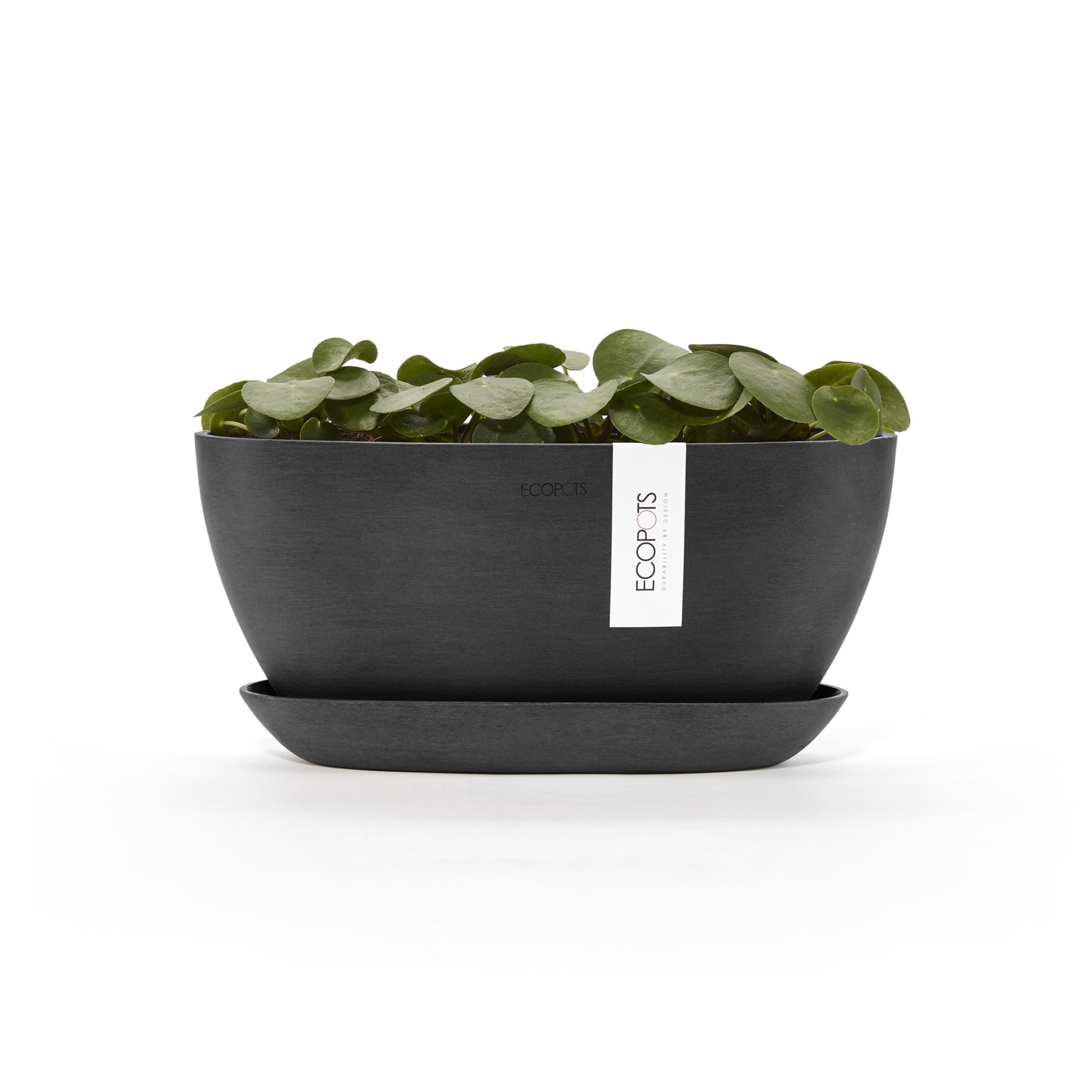 Ecopots Sofia Durable Modern Oval Indoor/Outdoor Recycled-Based Composite Flower Pot Planter w/ Water Reservoir