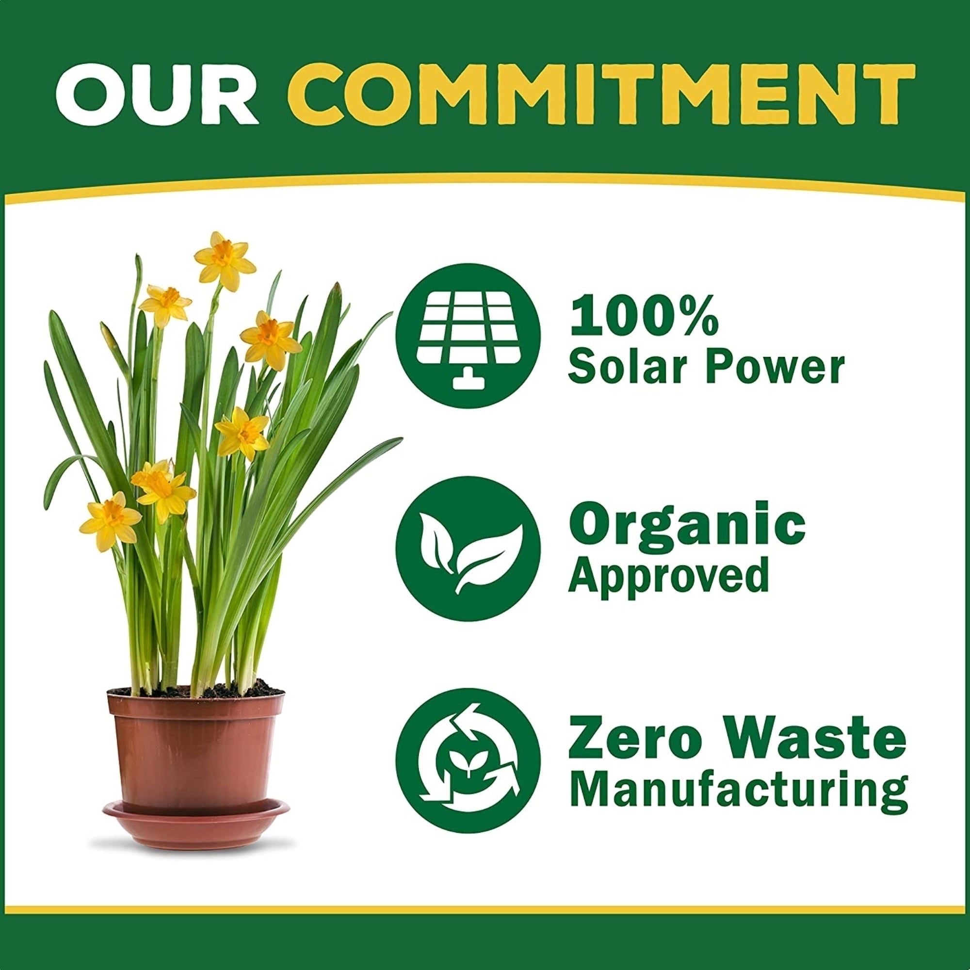 Espoma Organic Bloom! Plant Food and Bloom Booster for Allflowering Plants, Promotes Vigorous Growth and Blooming, Liquid Concentrate, 16oz