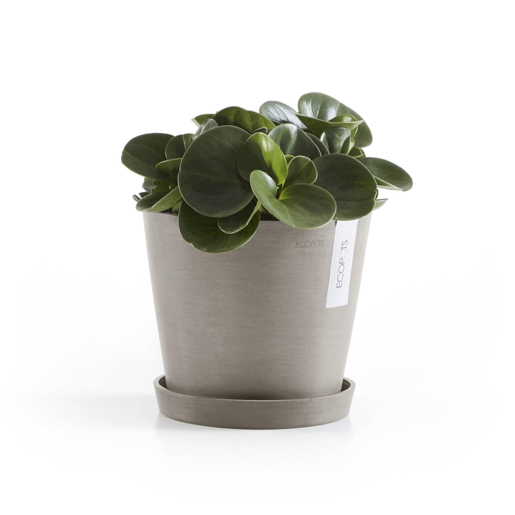 Ecopots Amsterdam Durable Modern Round In/Outdoor Recycled-Based Composite Flower Pot Planter