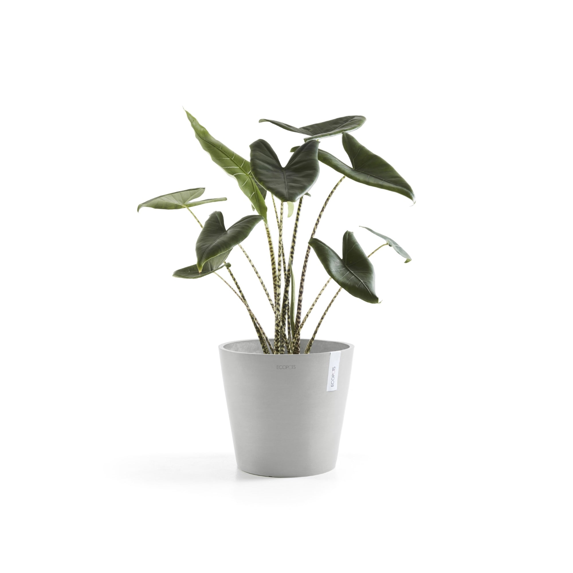 Ecopots Amsterdam Durable Modern Round In/Outdoor Recycled-Based Composite Flower Pot Planter