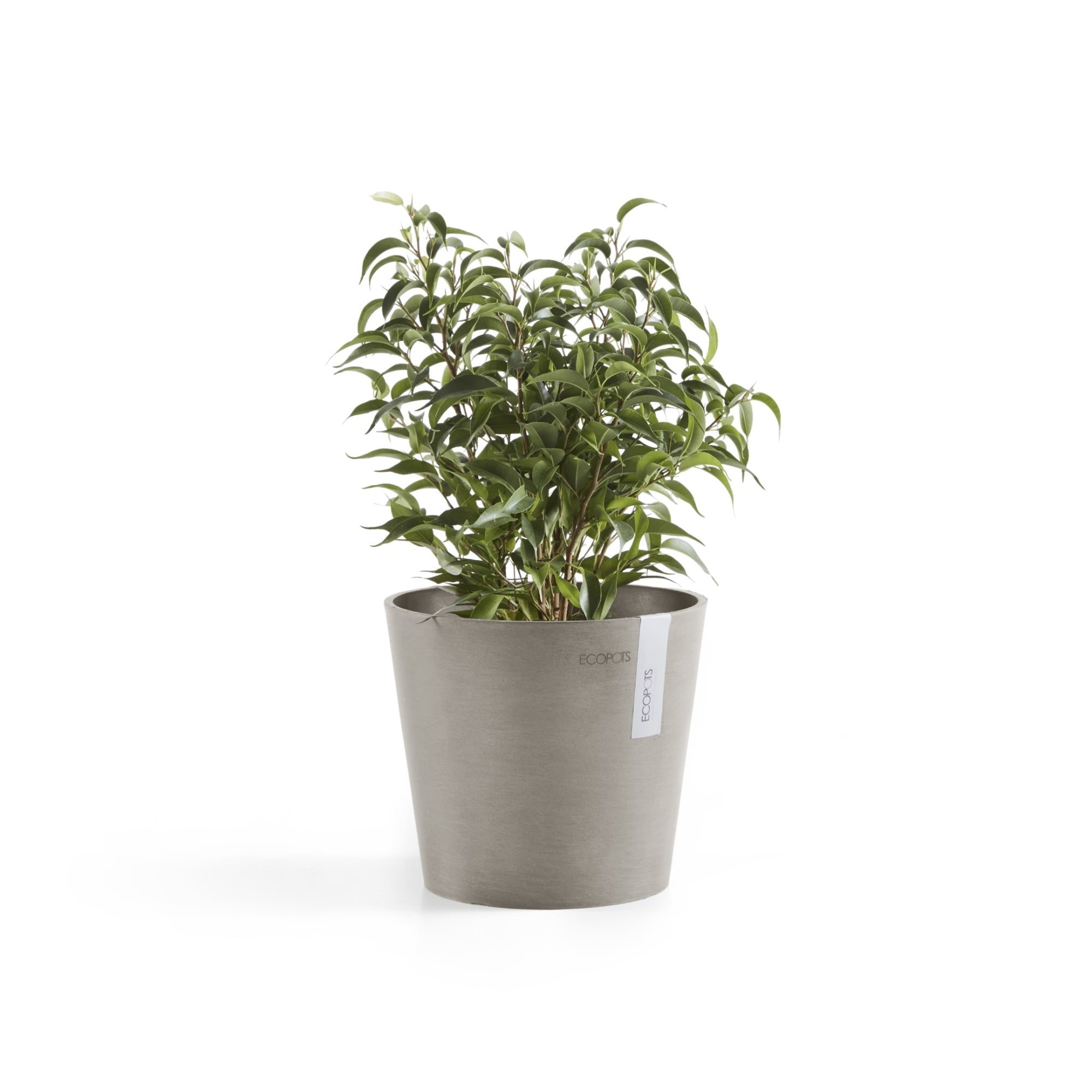 Ecopots Amsterdam Mini Durable Modern Round Recycled-Based Composite Flower Pot Planter