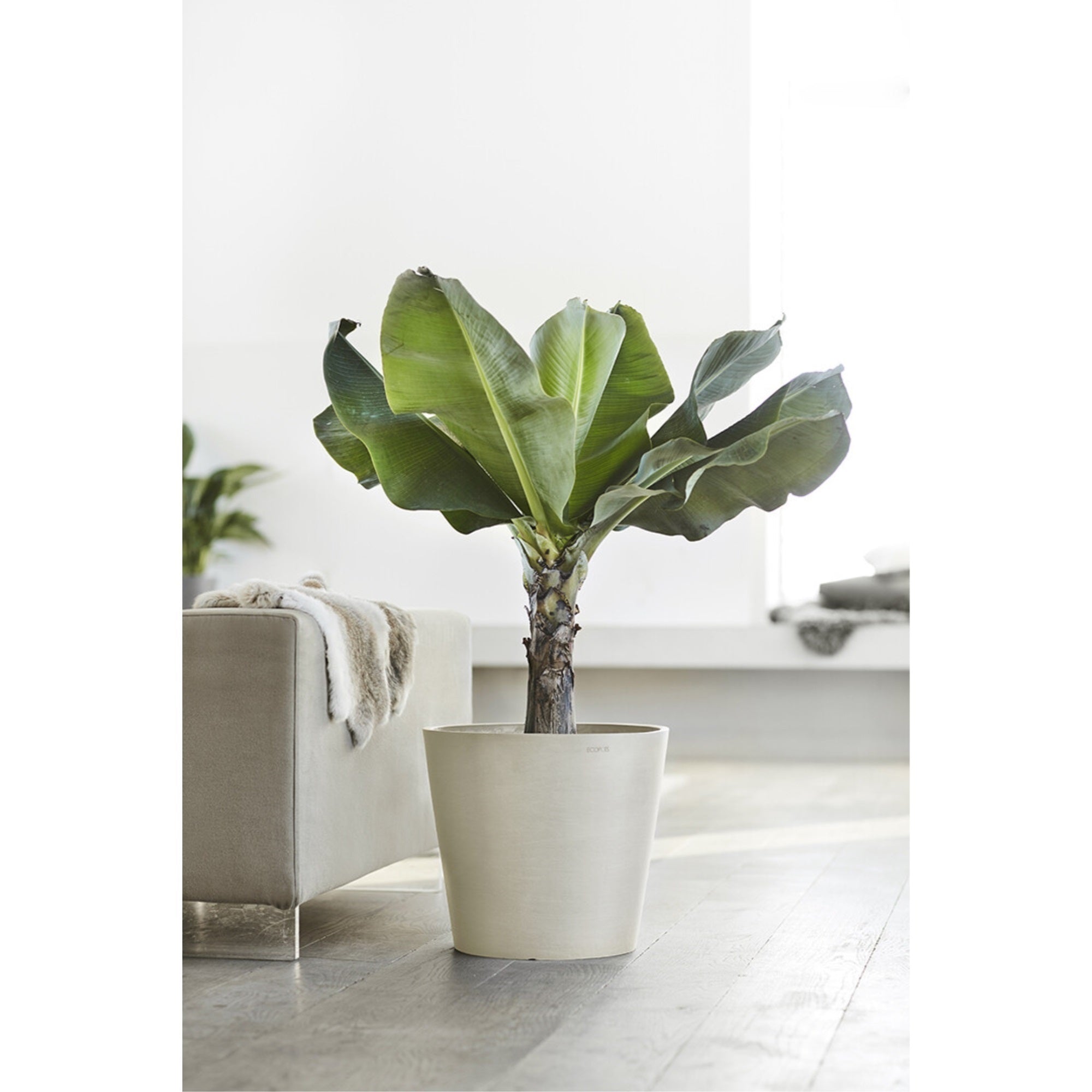 Ecopots Amsterdam Durable Modern Round In/Outdoor Recycled-Based Composite Flower Pot Planter