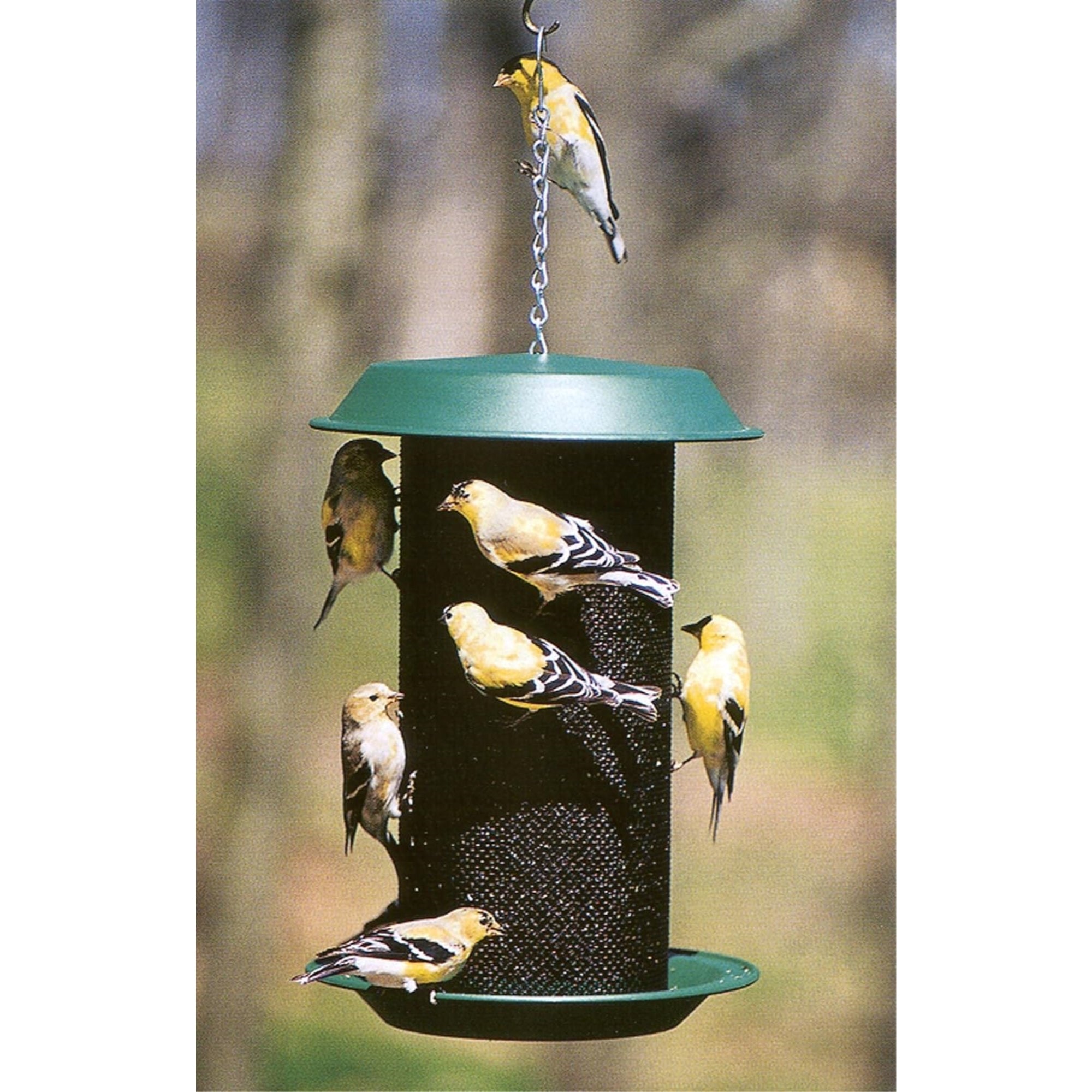 Woodlink MAG2 Magnum Thistle Bird Feeder, Green, 4qt