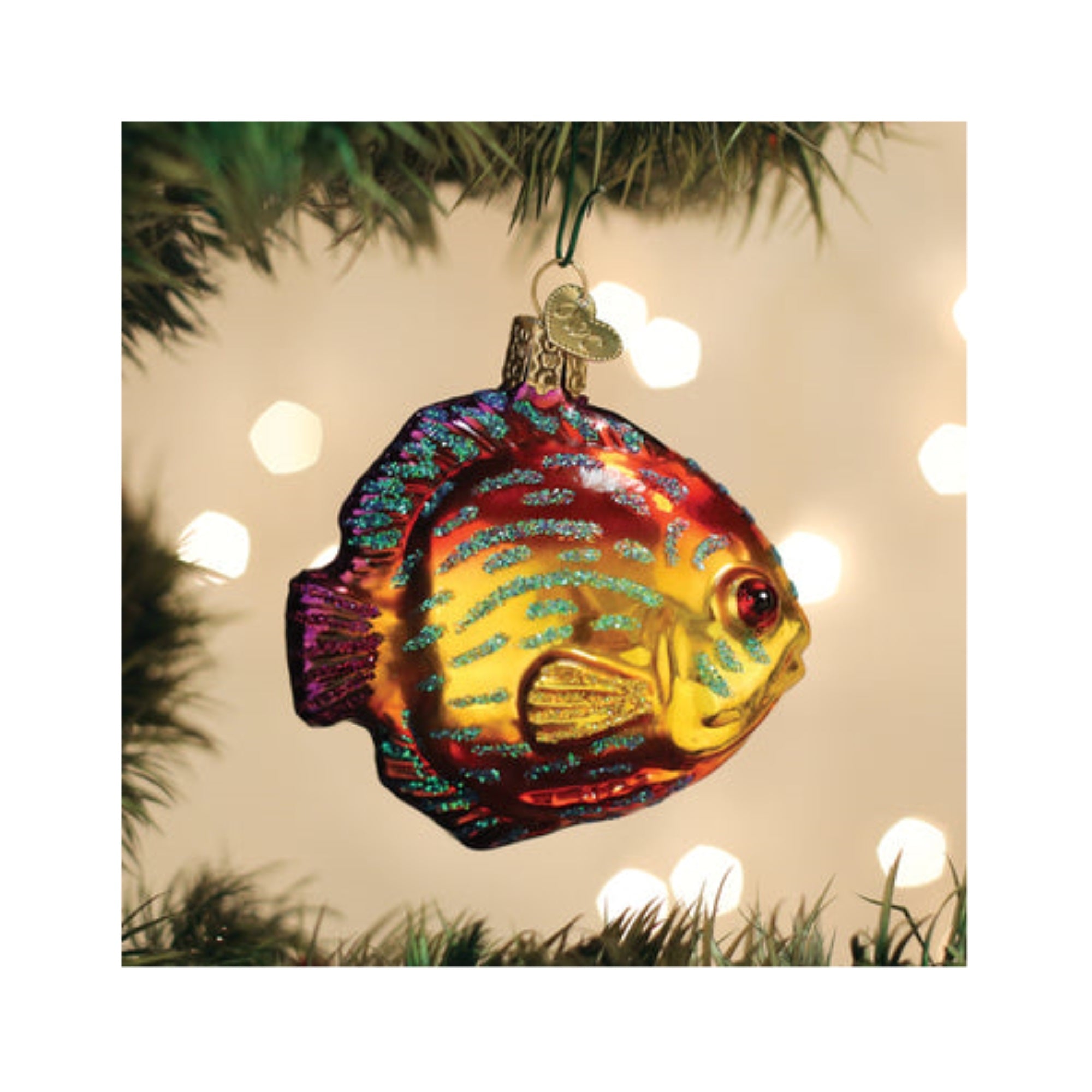 Old World Christmas Blown Glass Ornament for Christmas Tree, Discus Fish