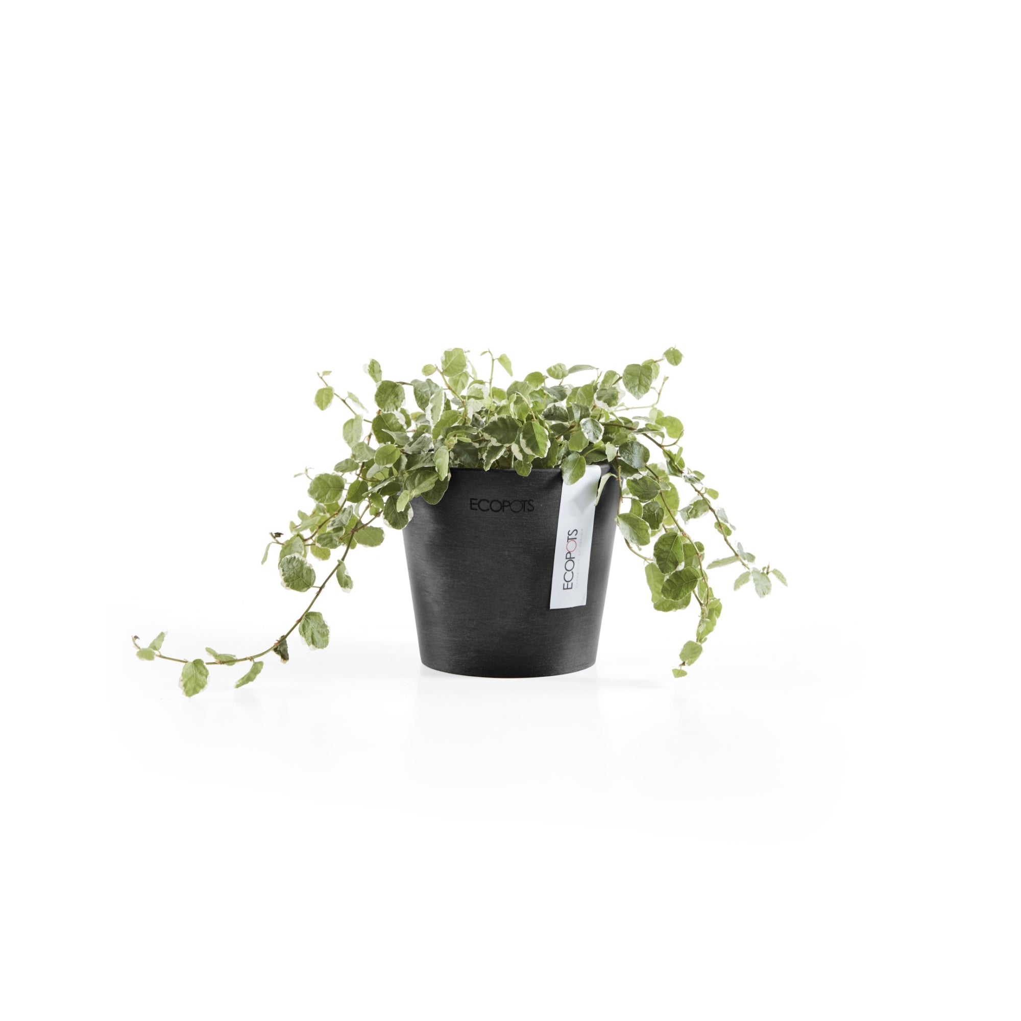 Ecopots Amsterdam Mini Durable Modern Round Recycled-Based Composite Flower Pot Planter