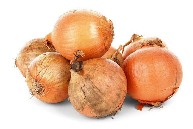 Rohrer Seeds Yellow Onions, 1 lb